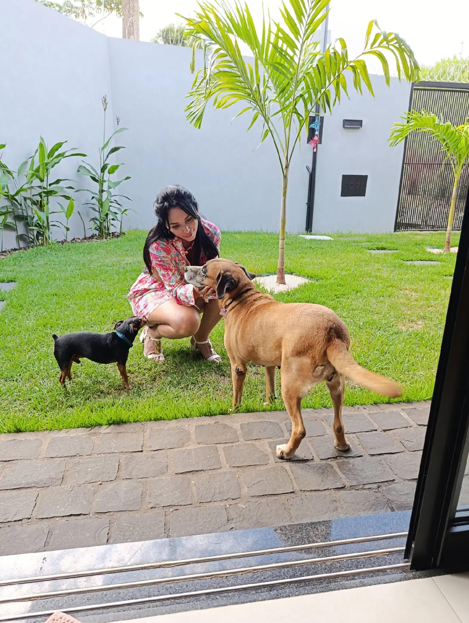 @Lady Dayana Braga