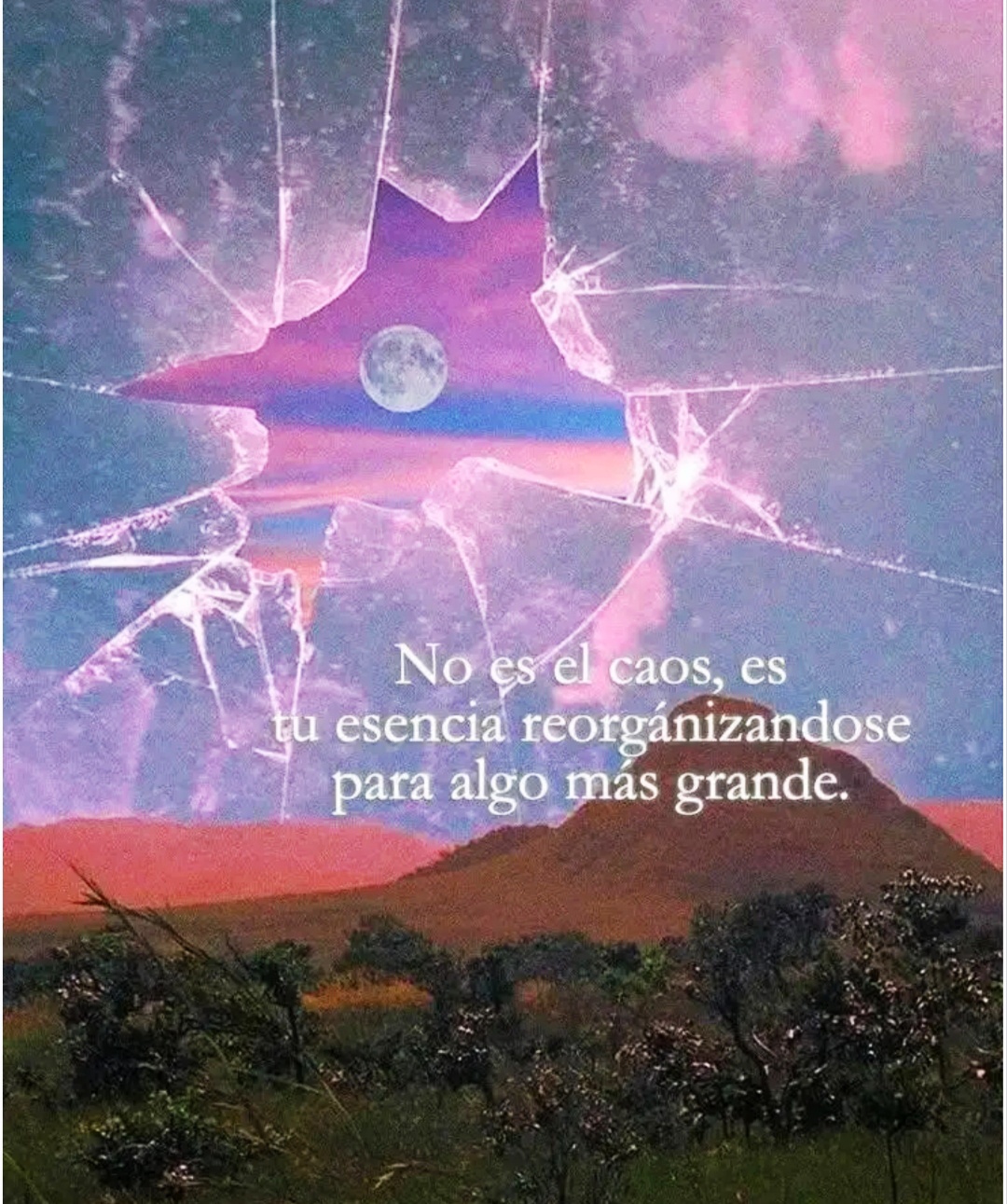 @200CAIDOS