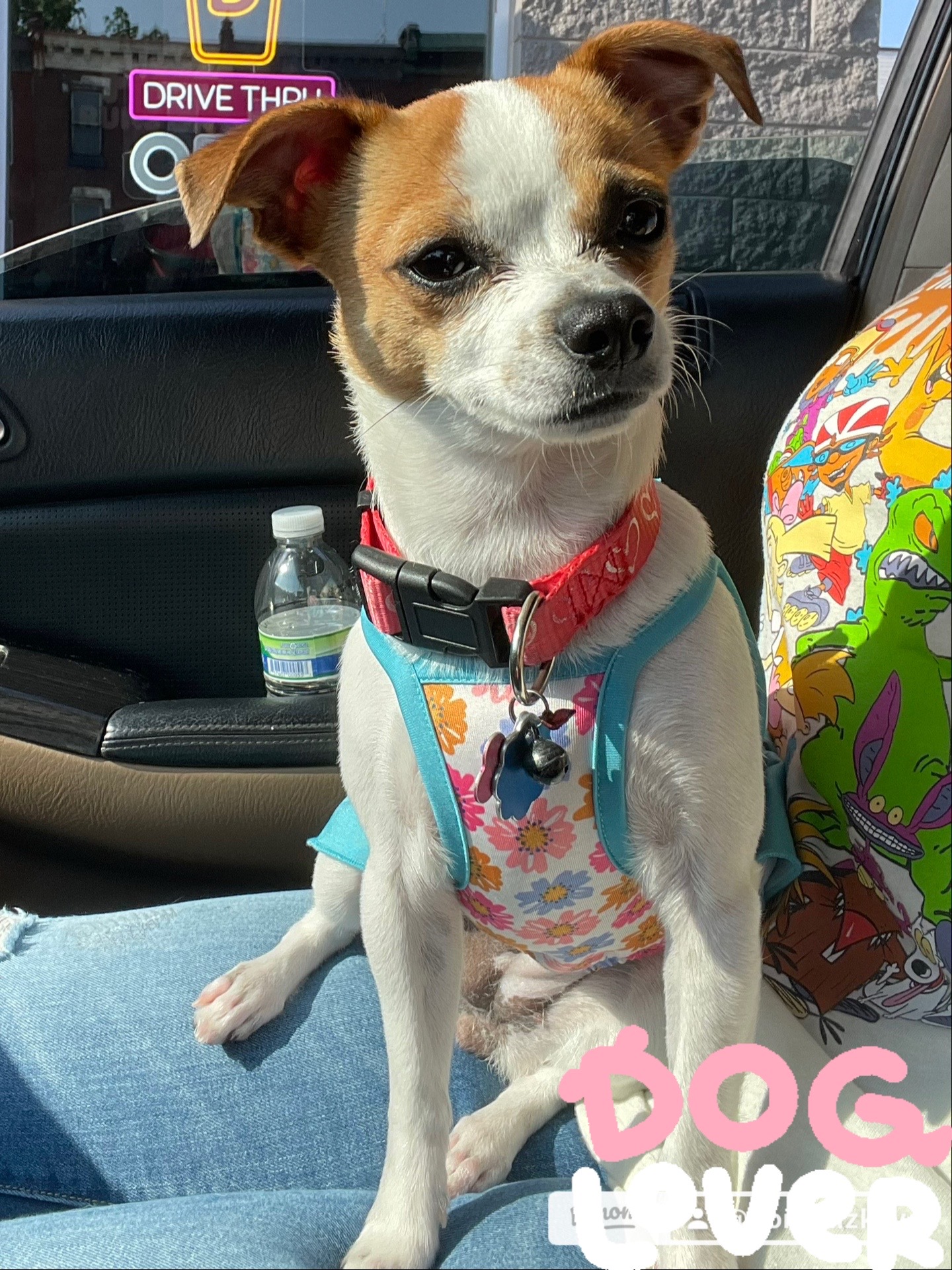 @🌺Kɛyʆɑ ɳѳʀɗɛʆiz🌺ℙℝ🇵🇷