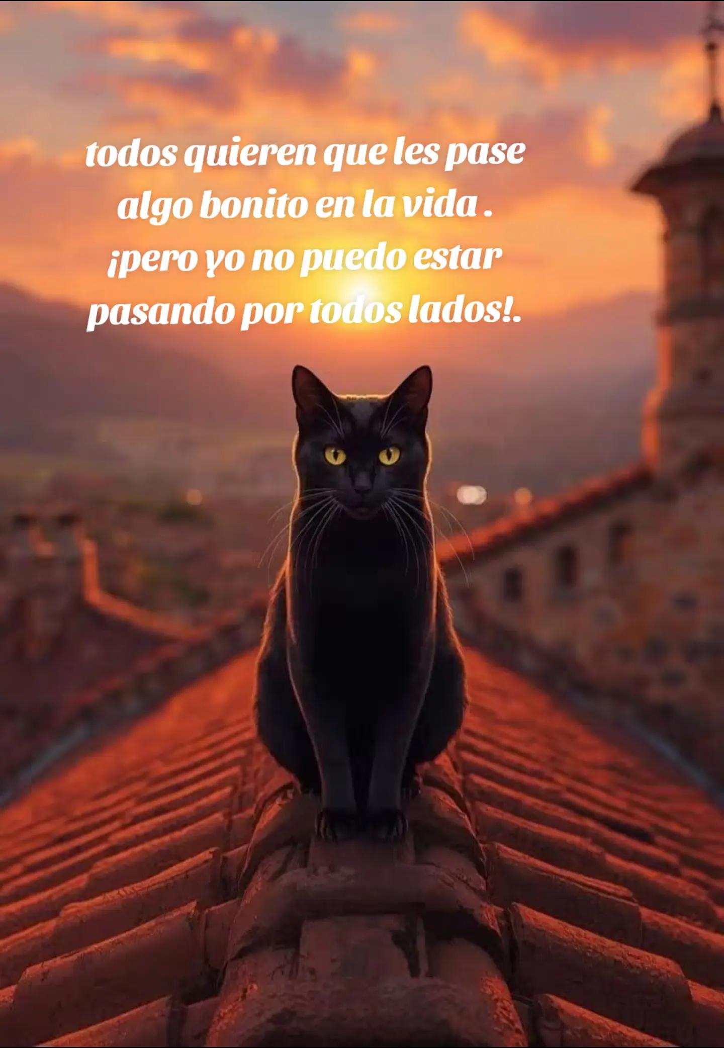 @normita