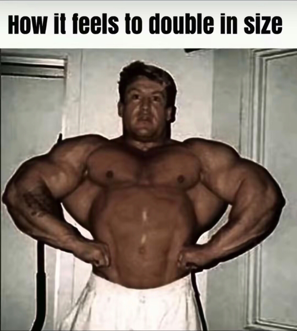 @styx005