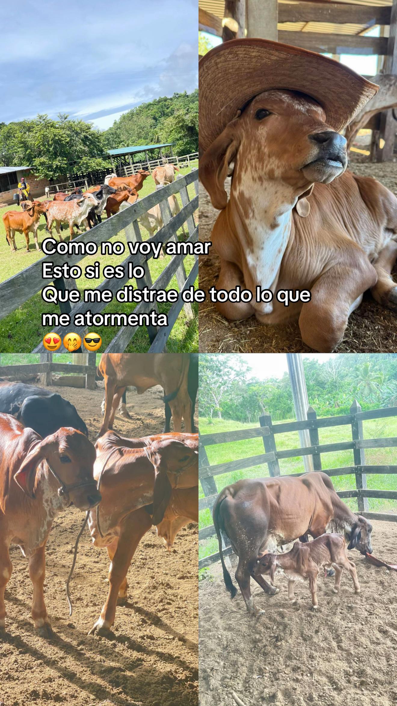 @claudiarojas140