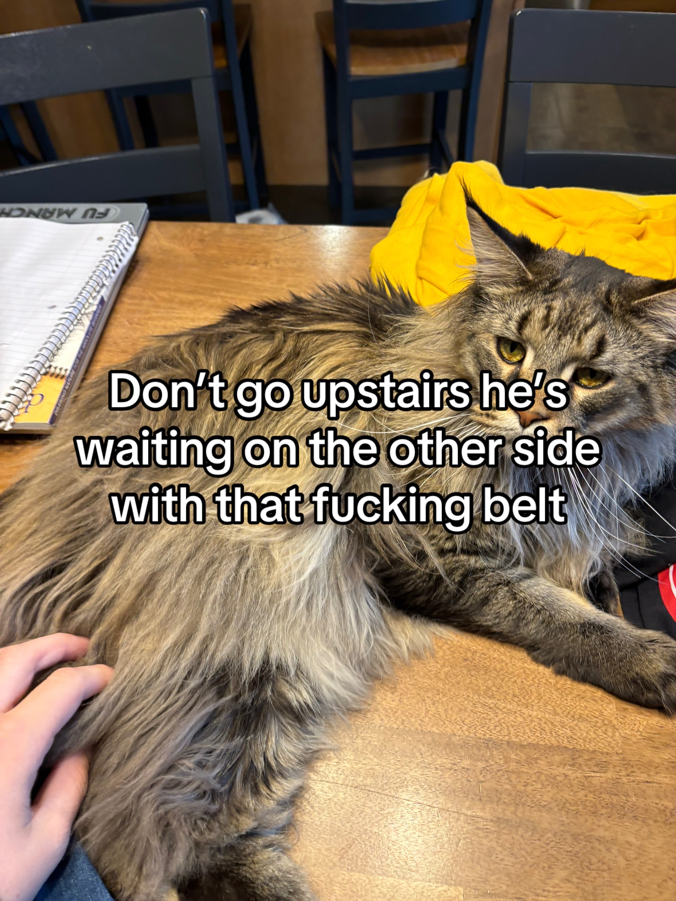 @️