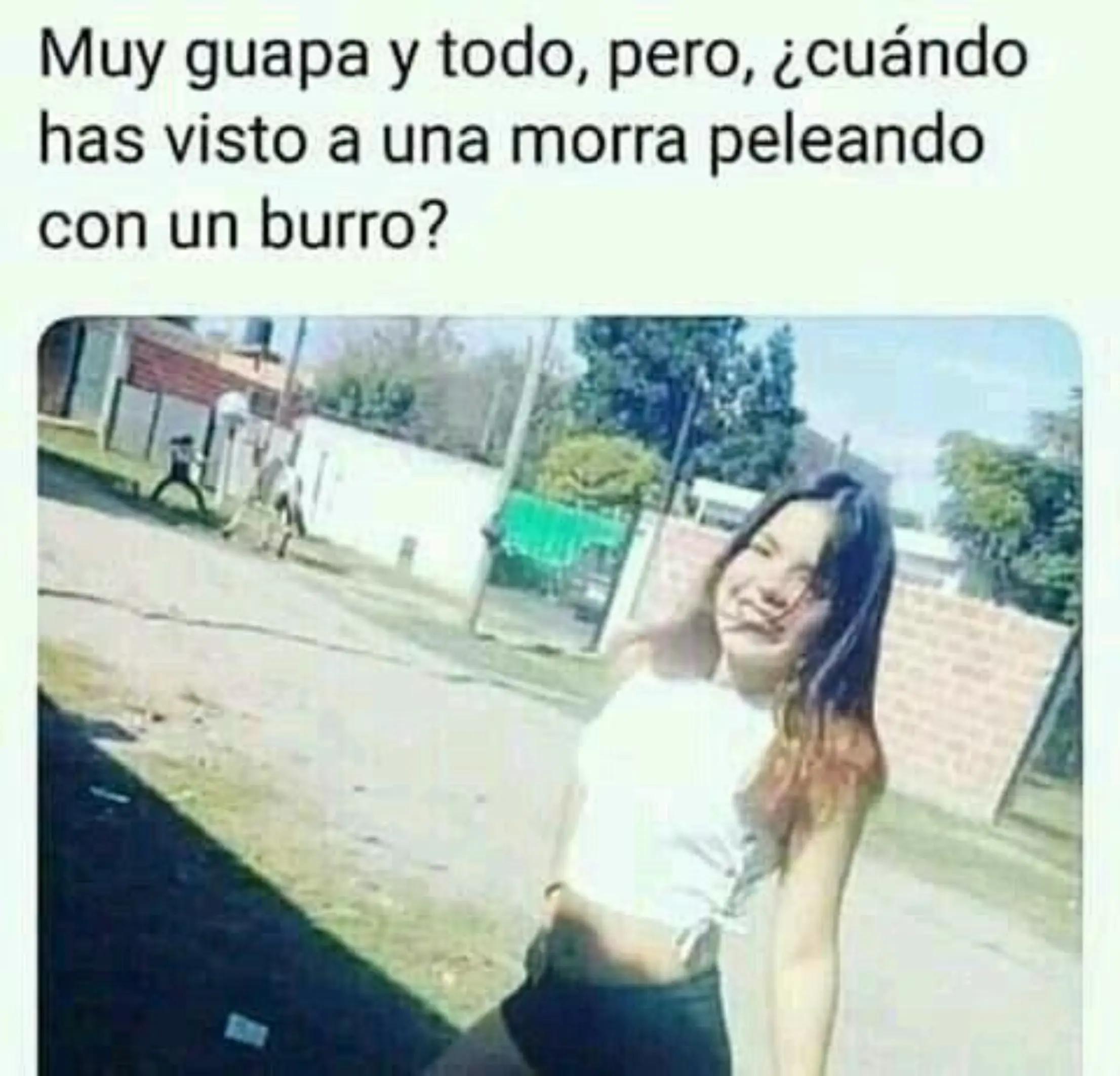 @meliodaz5252
