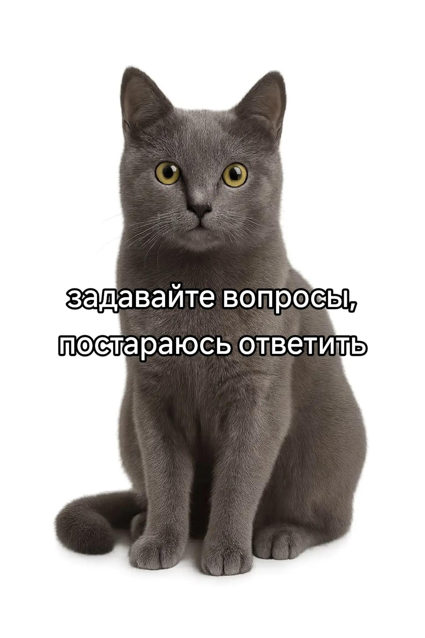 @EeehBlyaat