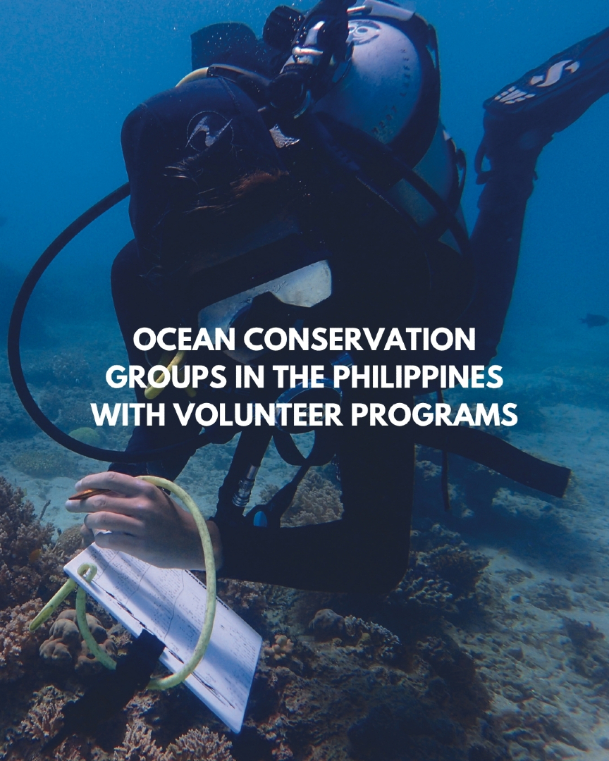 @Scuba Diving with Ara