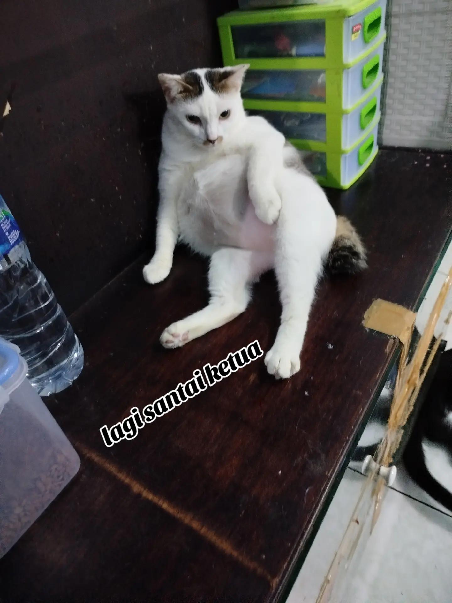 @Antasari.Intan