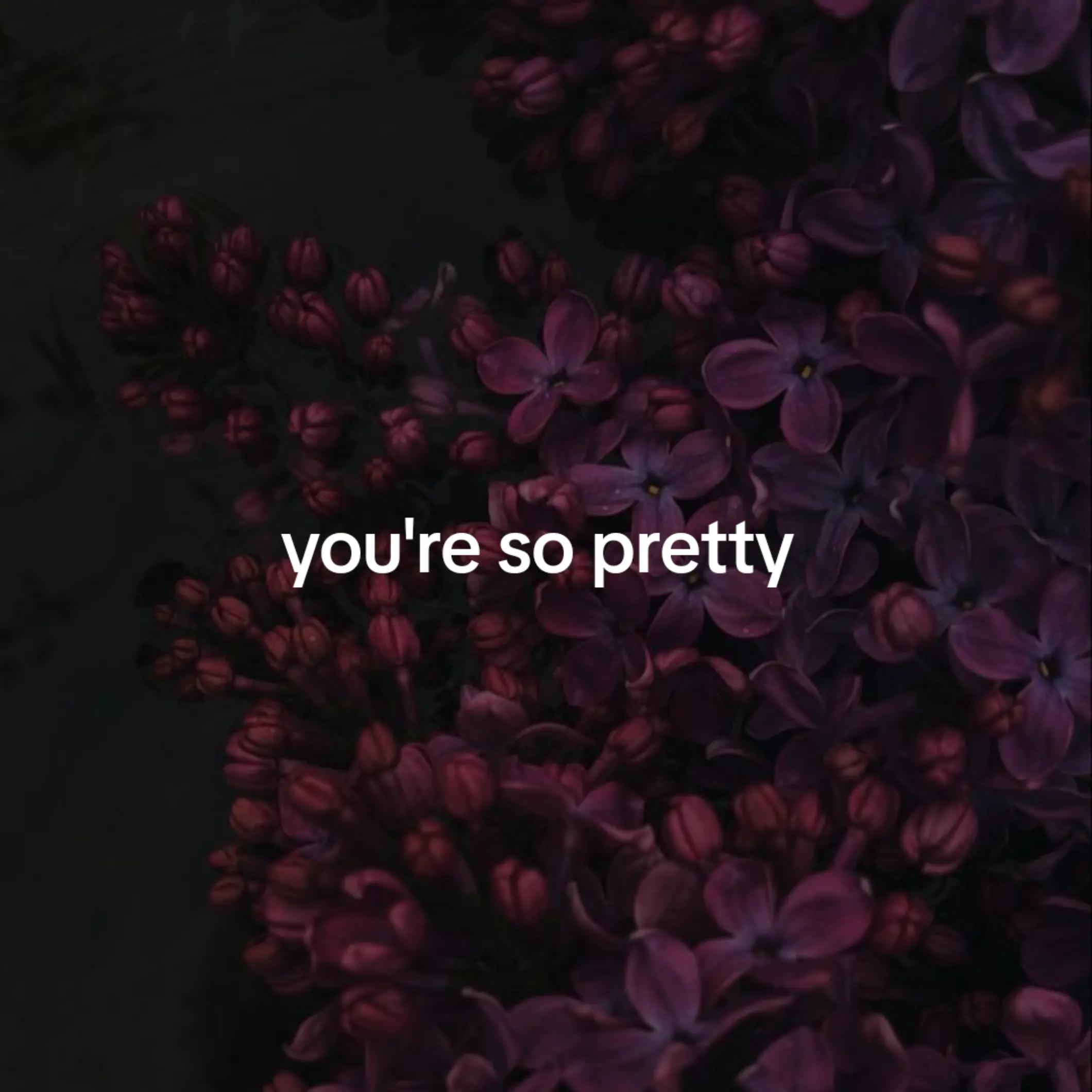 @|-/Merina⁵⁵