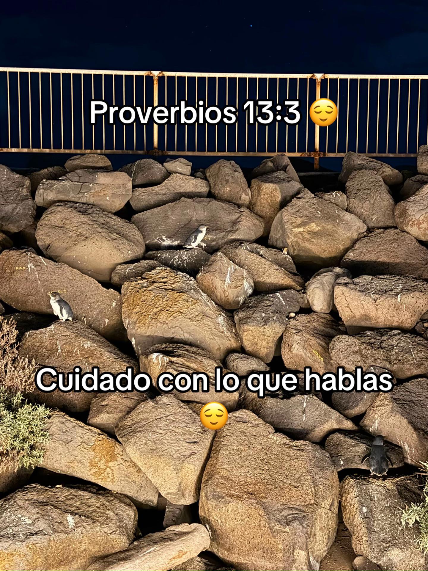 @Adriana L