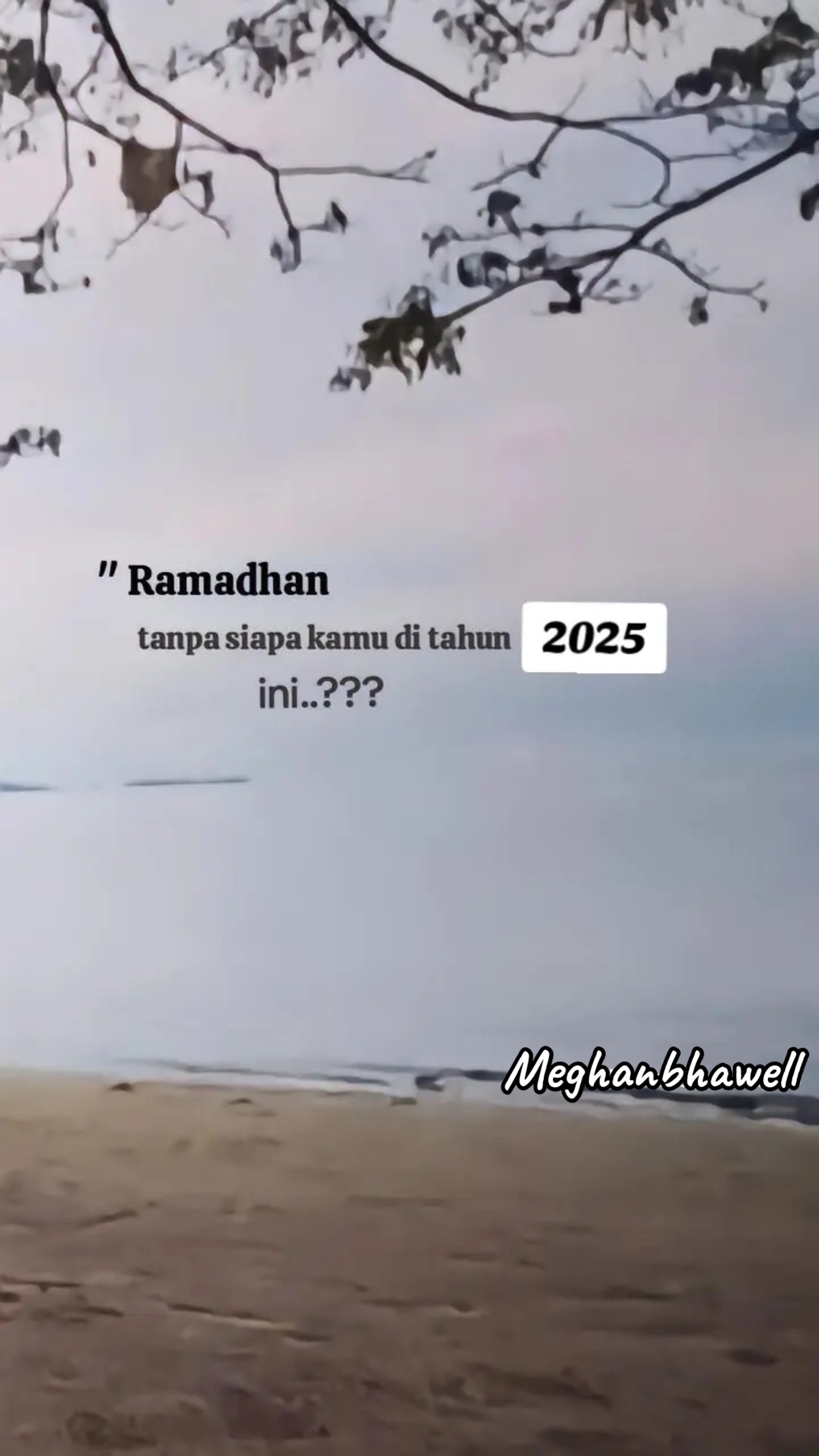 @MeghanBhawell