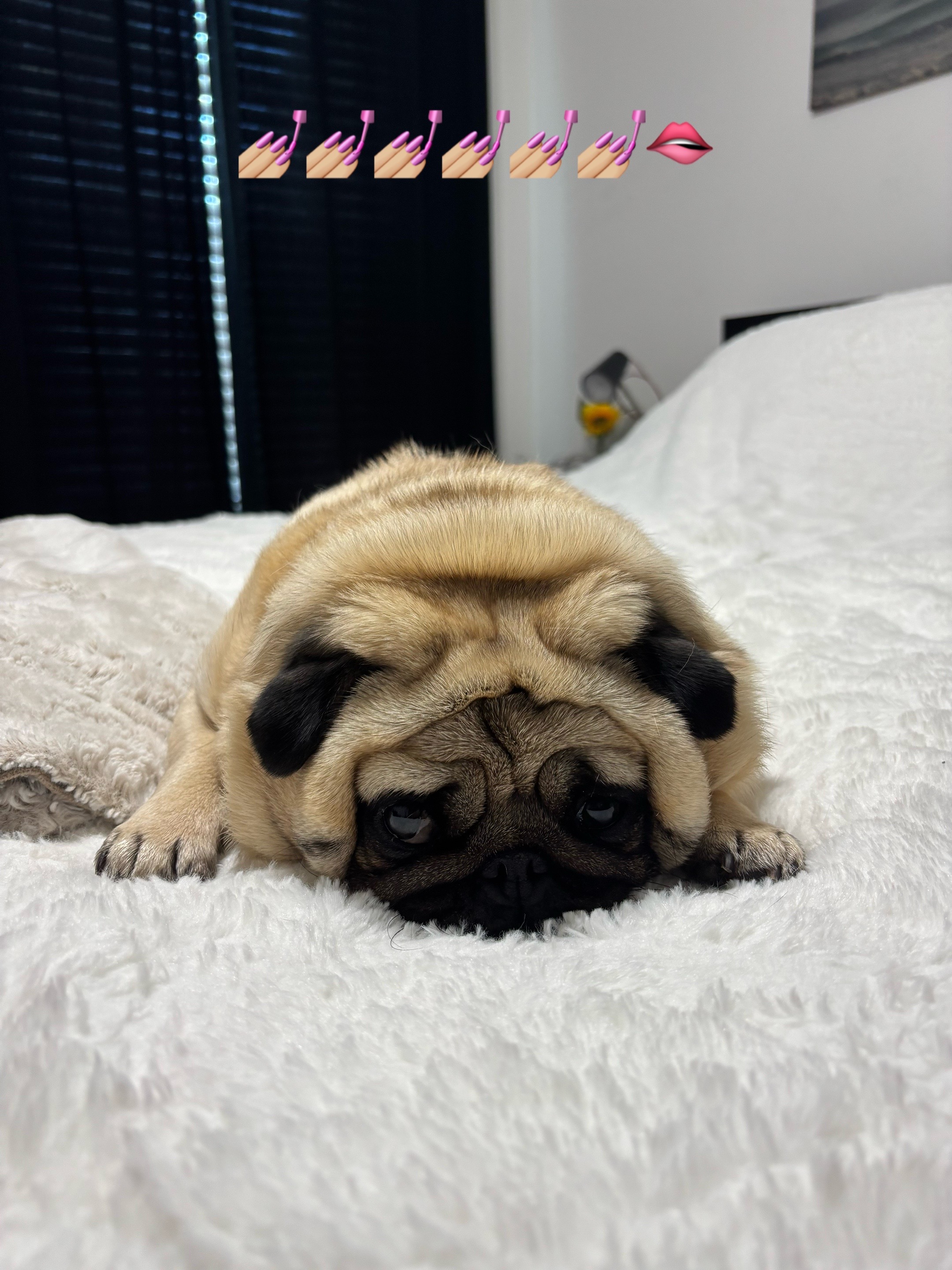 @PUGNAROUND
