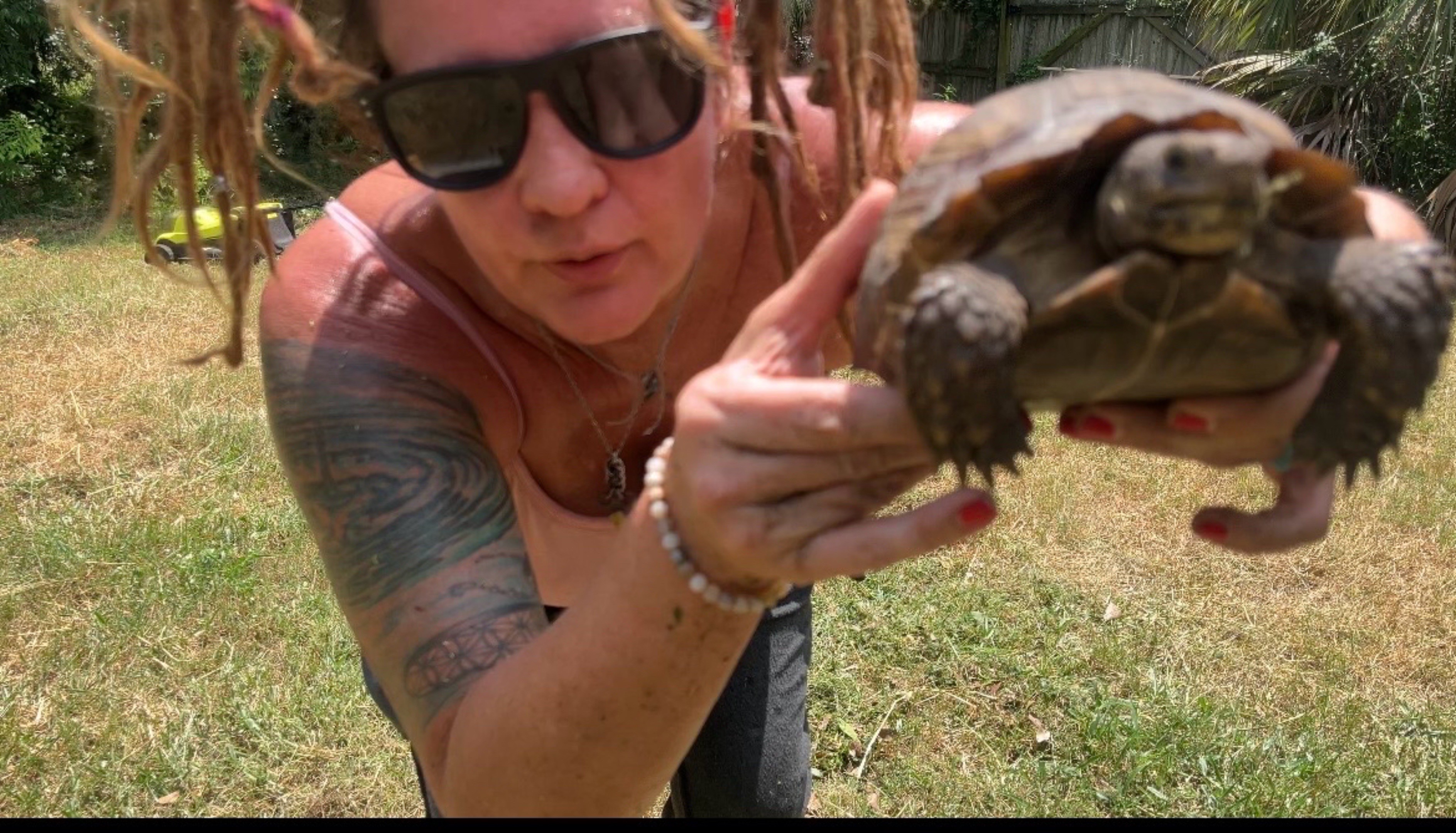 @shaqthetortoise
