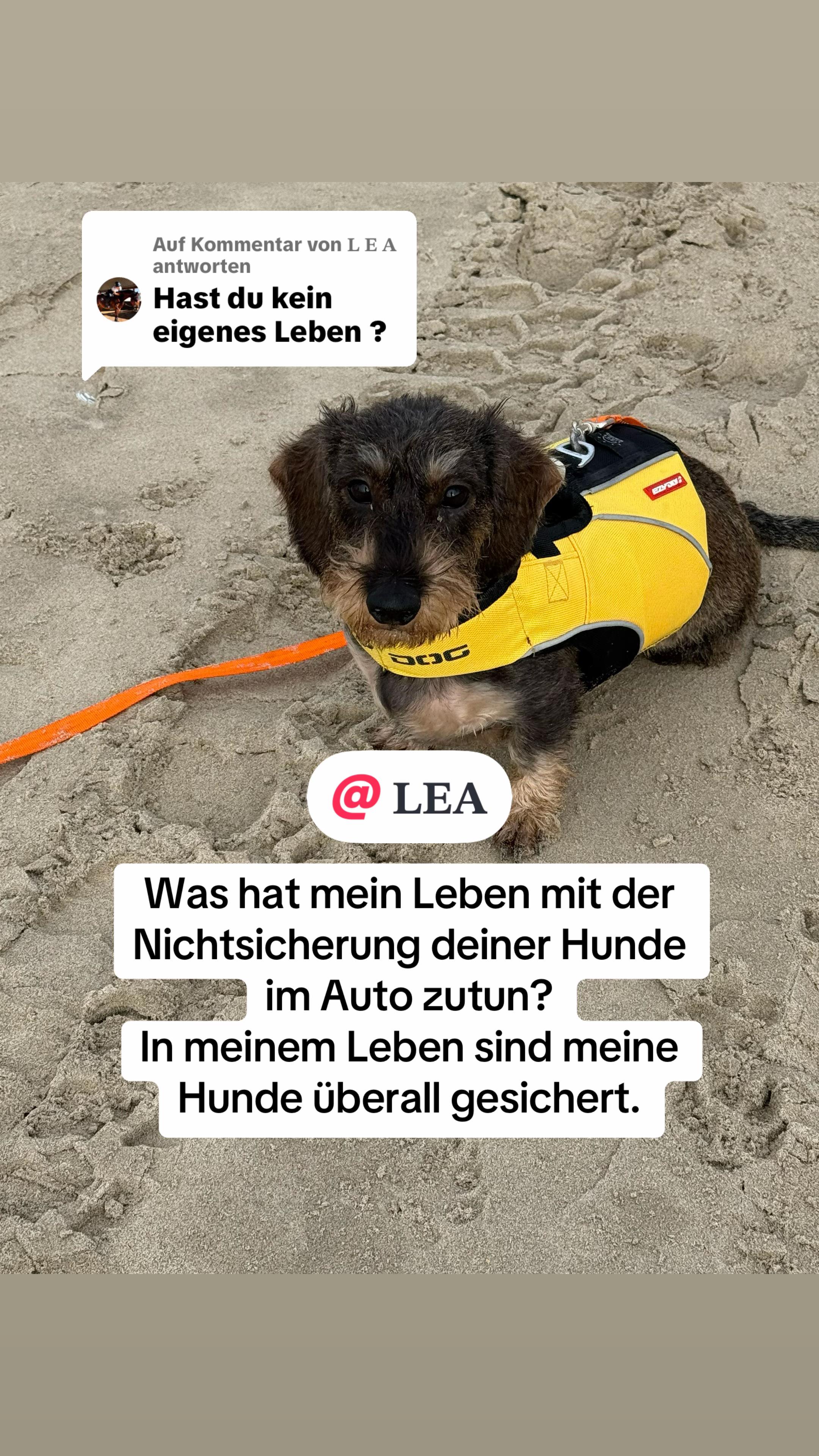 @Ichschützekinderundtiere