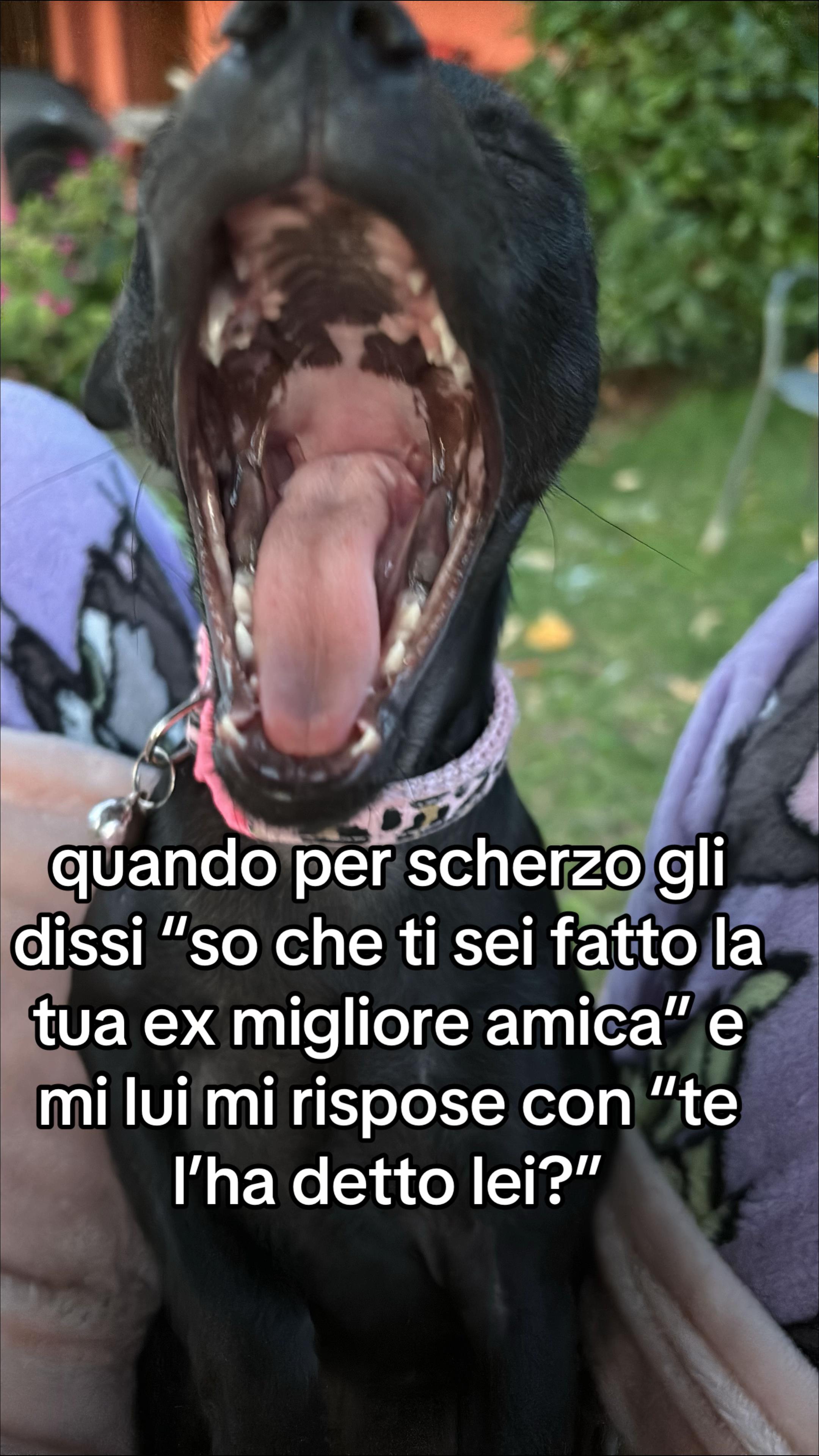 @lulu🤎🐾