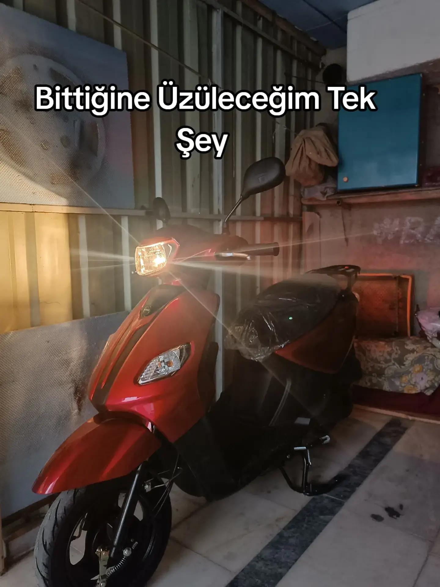 @Berko🧢