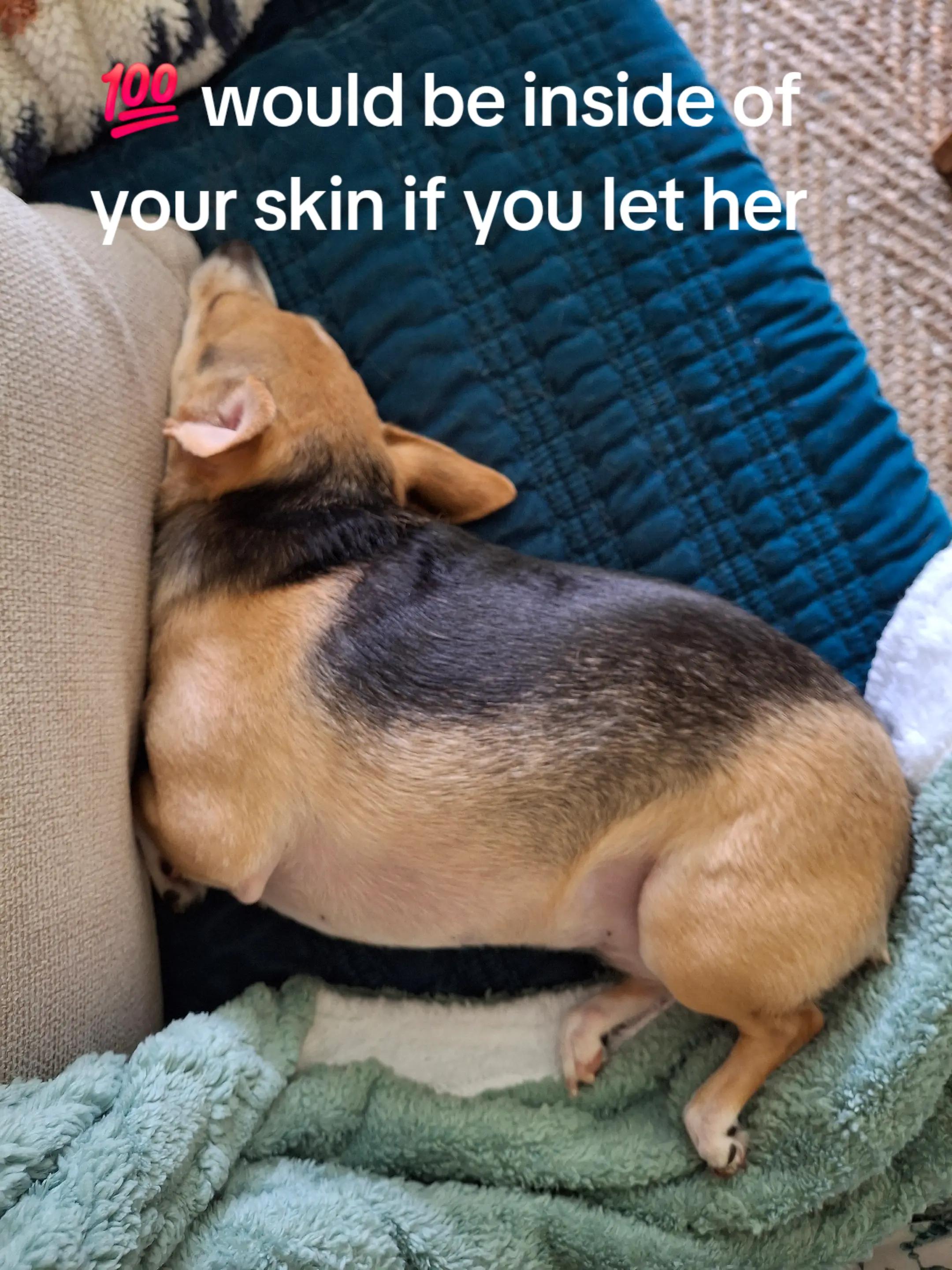 @wellcutbarbery
