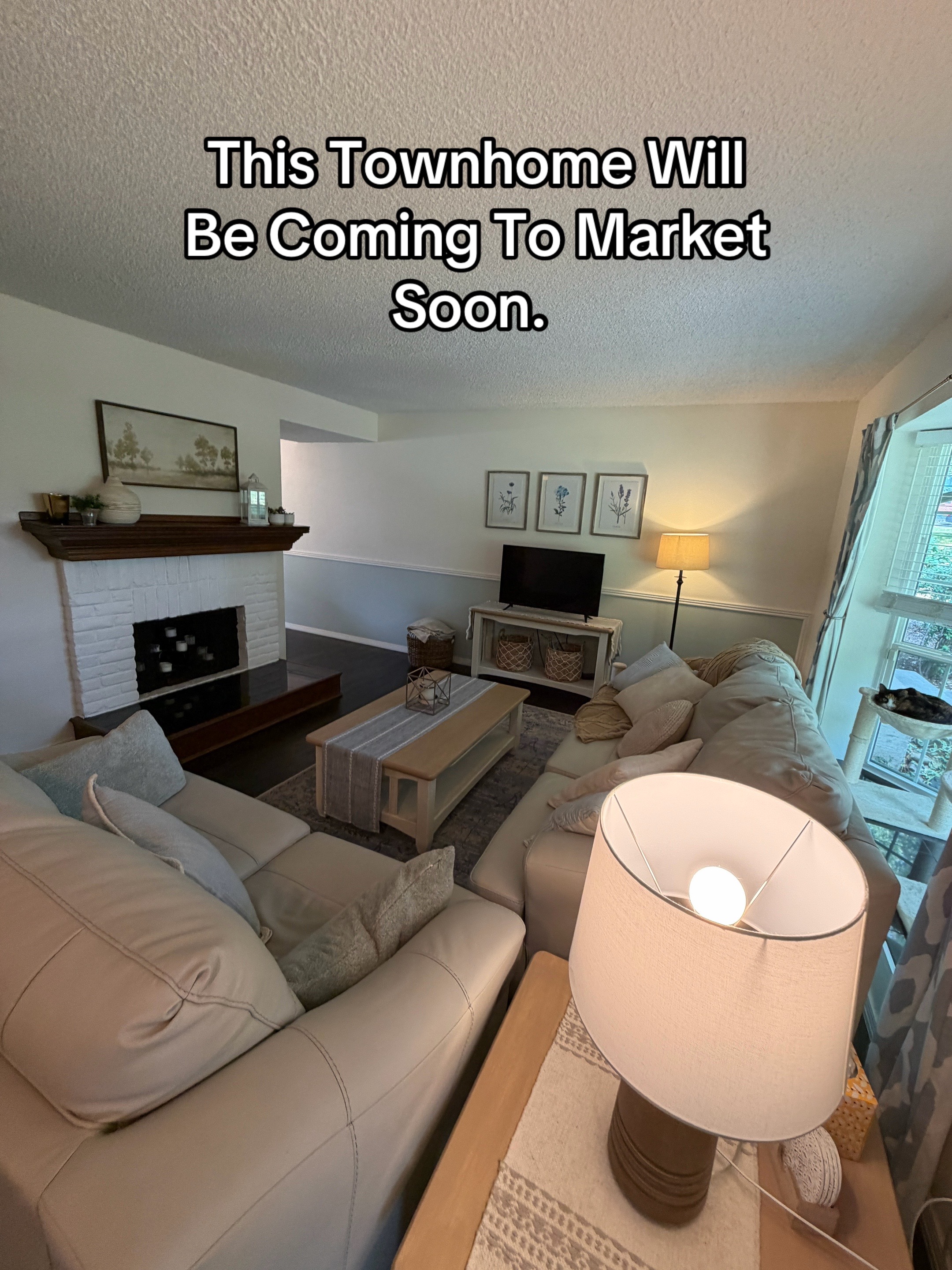 @David Novak Realtor