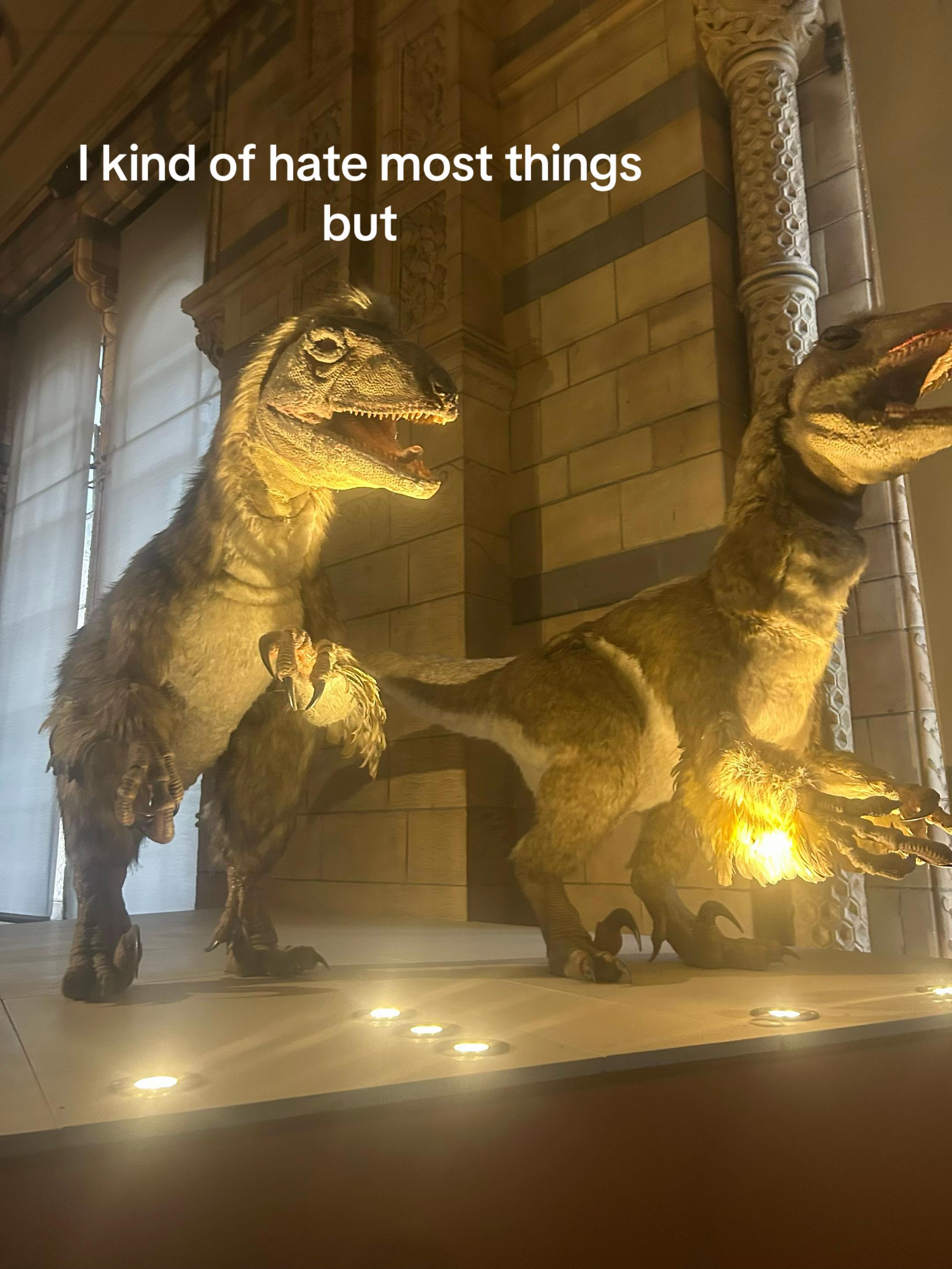 @𝒦𝒶𝓉𝓎