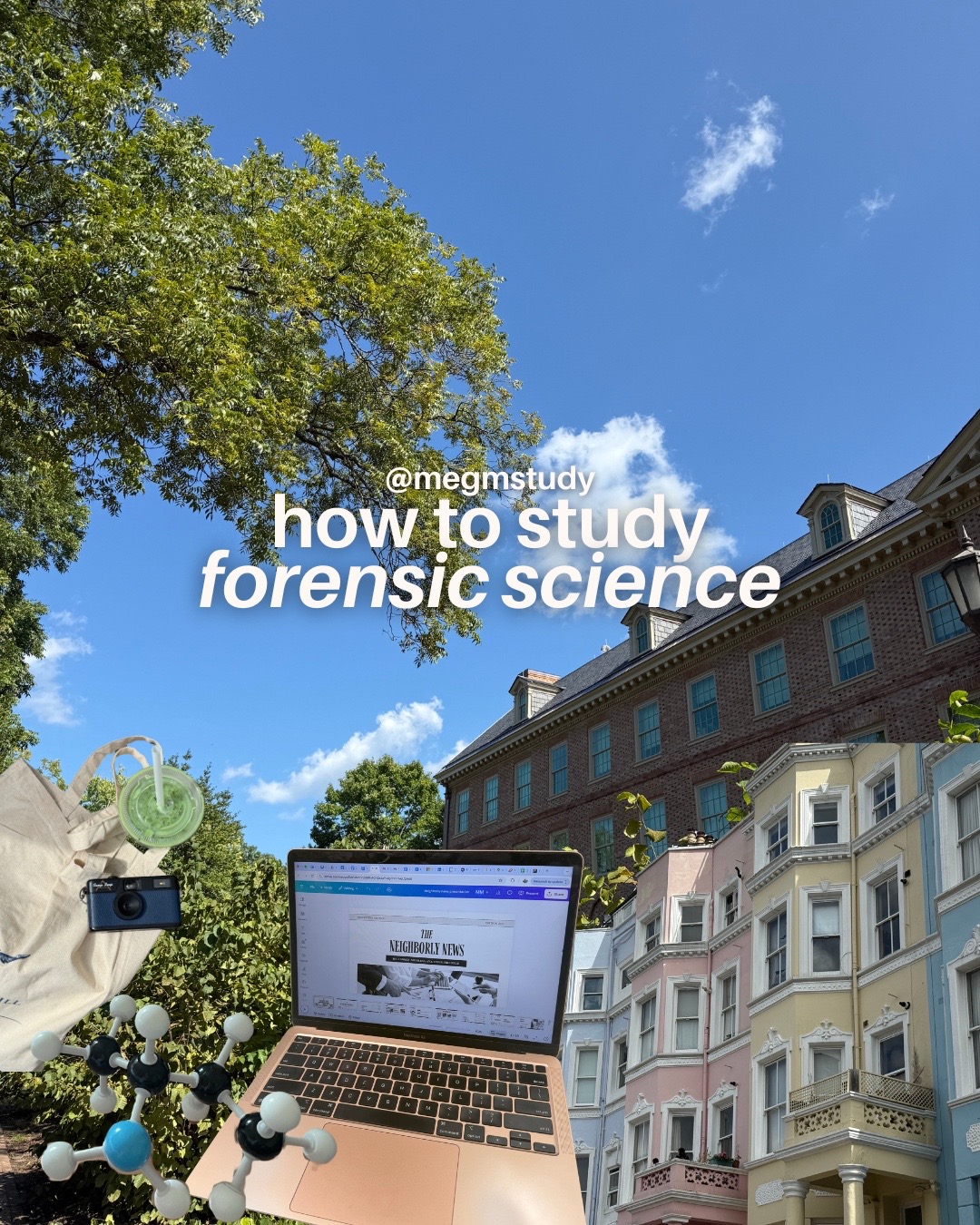 @megmstudy