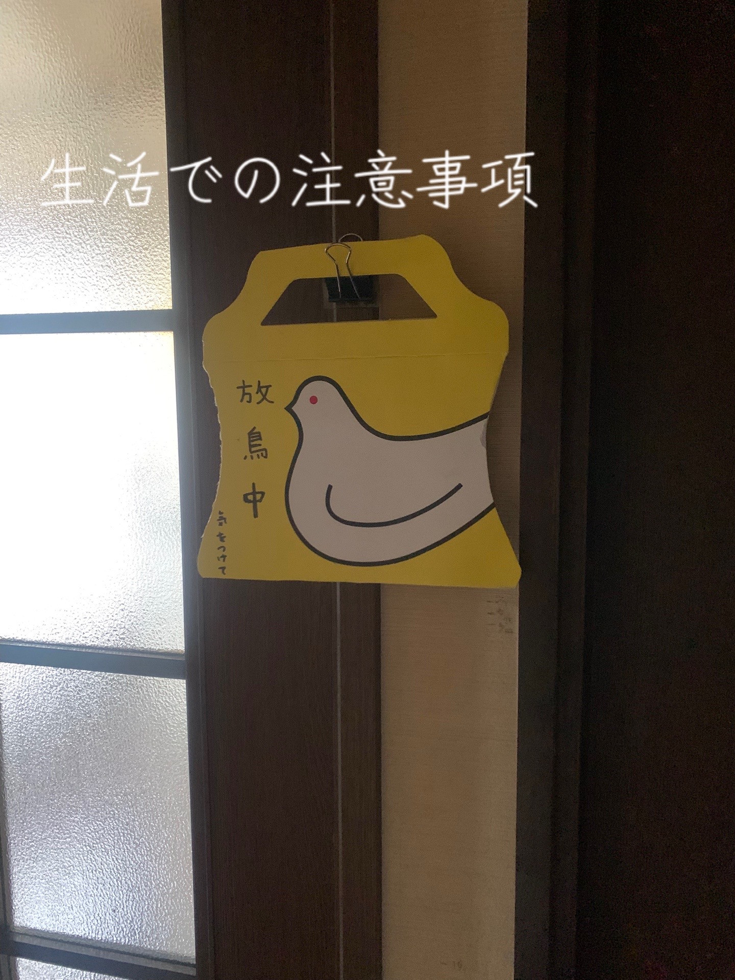 @🦜amaharu🦜