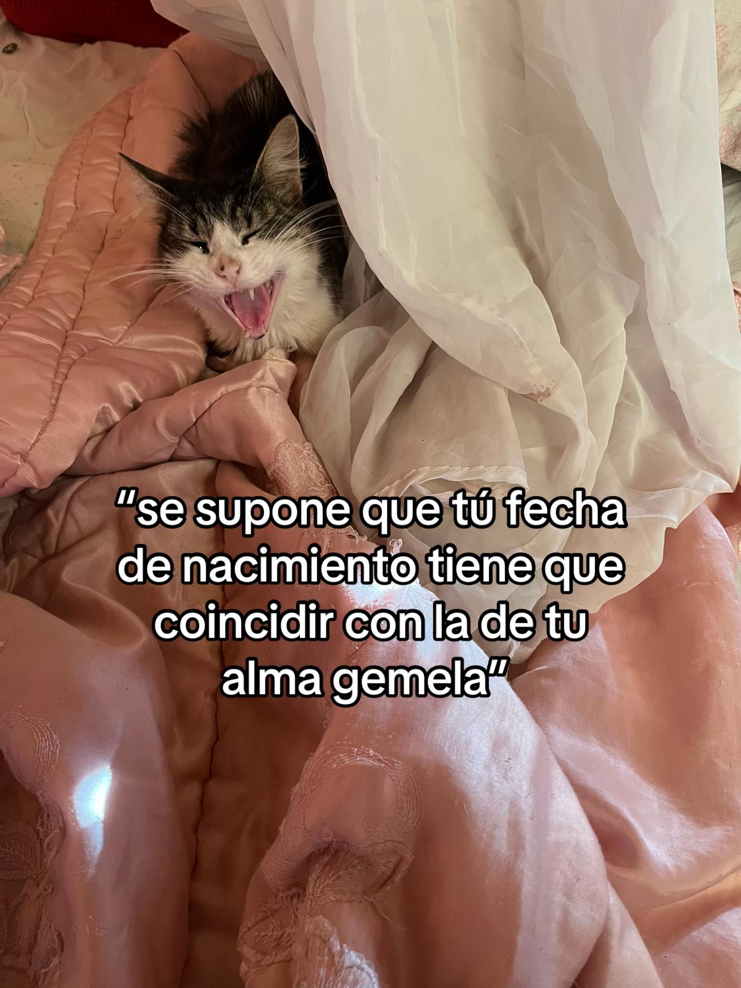 @ssol