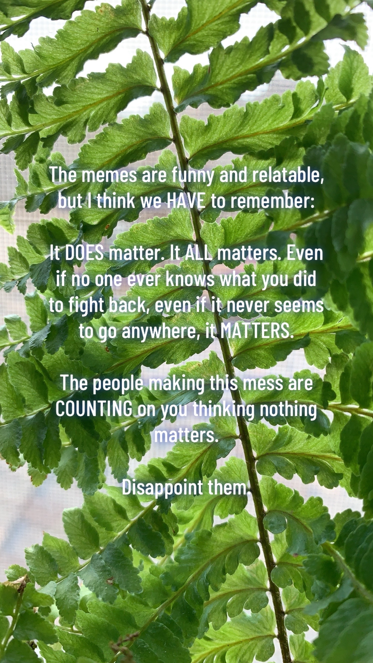 @Absurdican