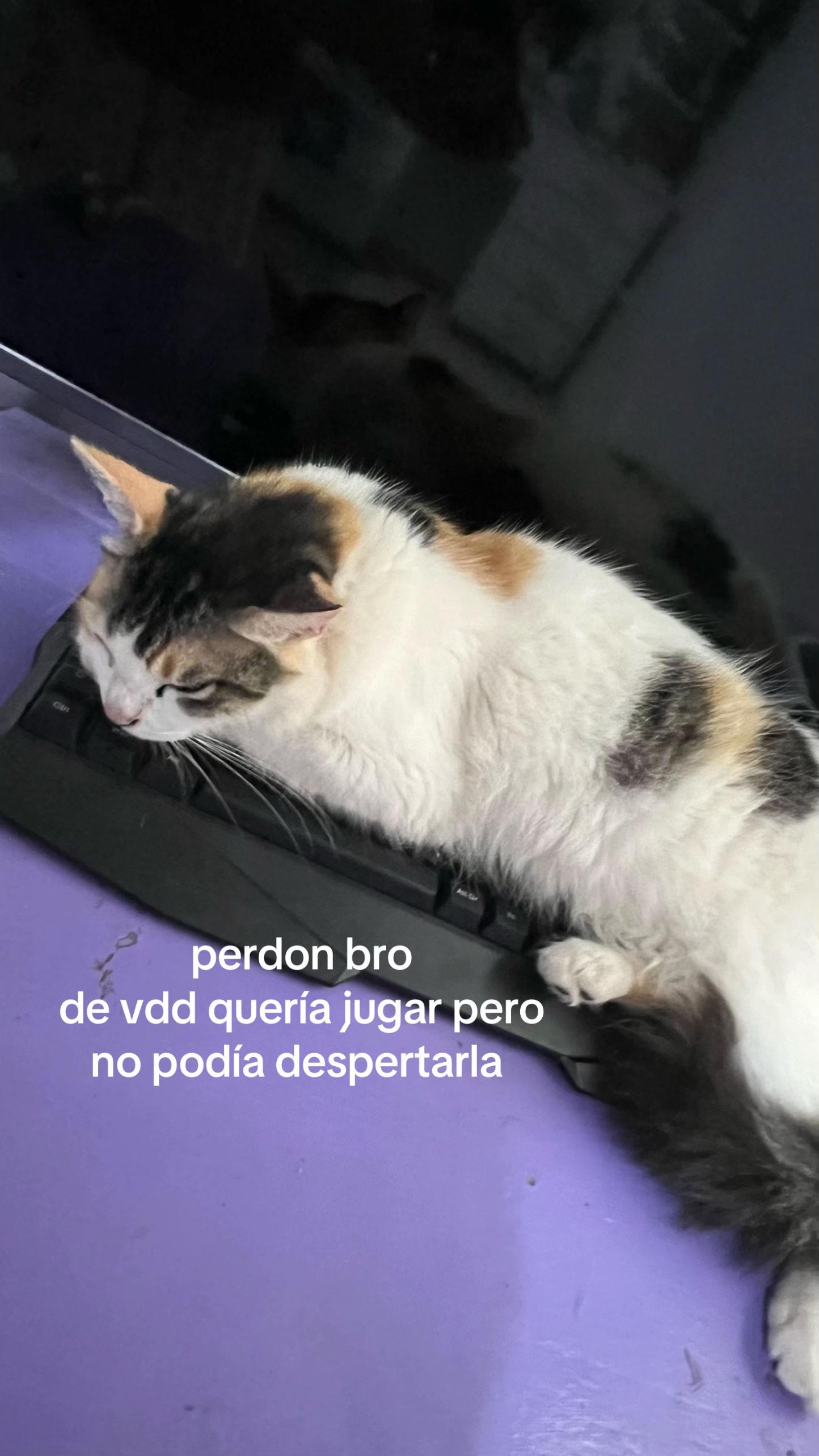 @Maky