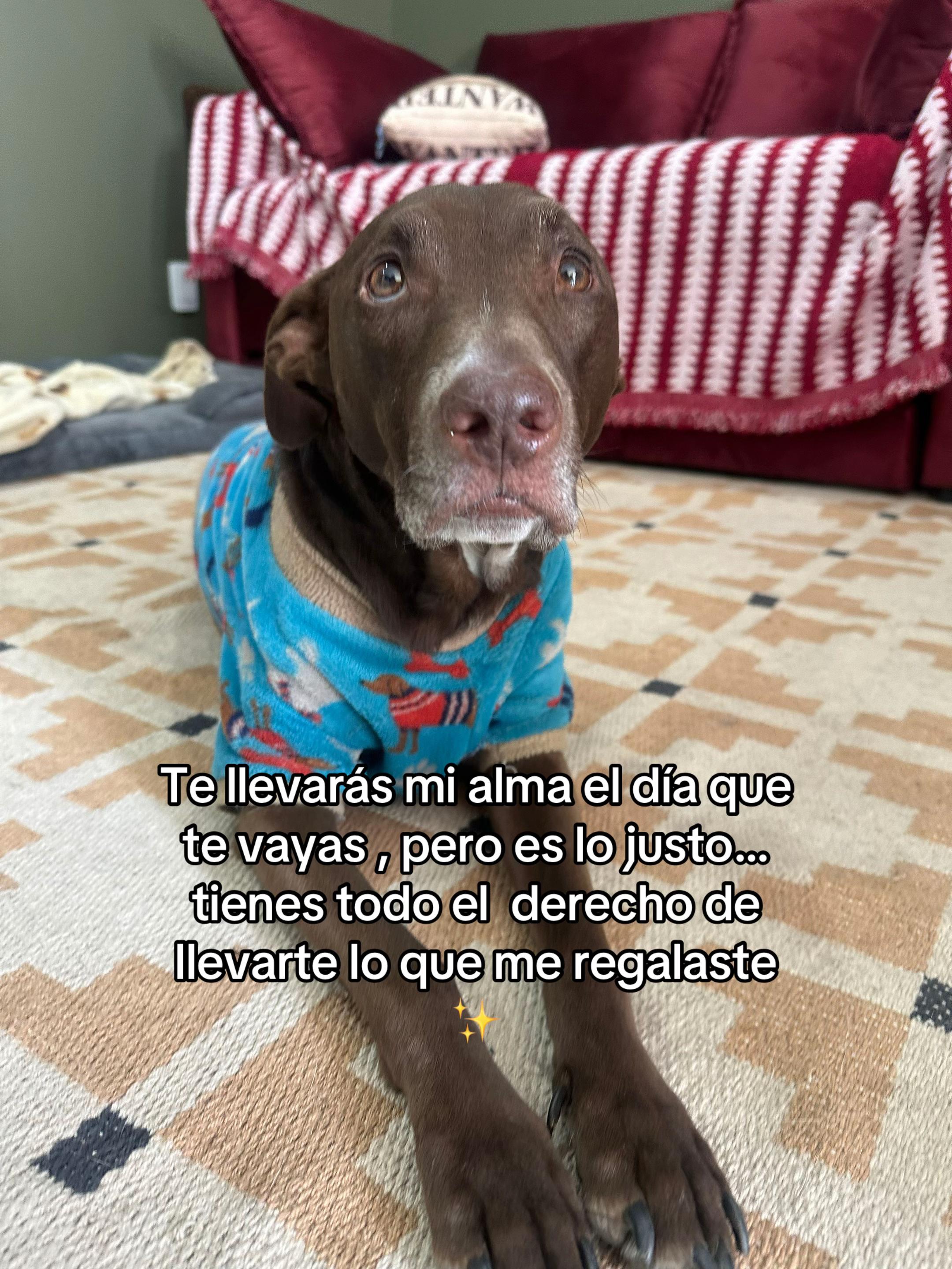 @Leslie Deniss Sánche