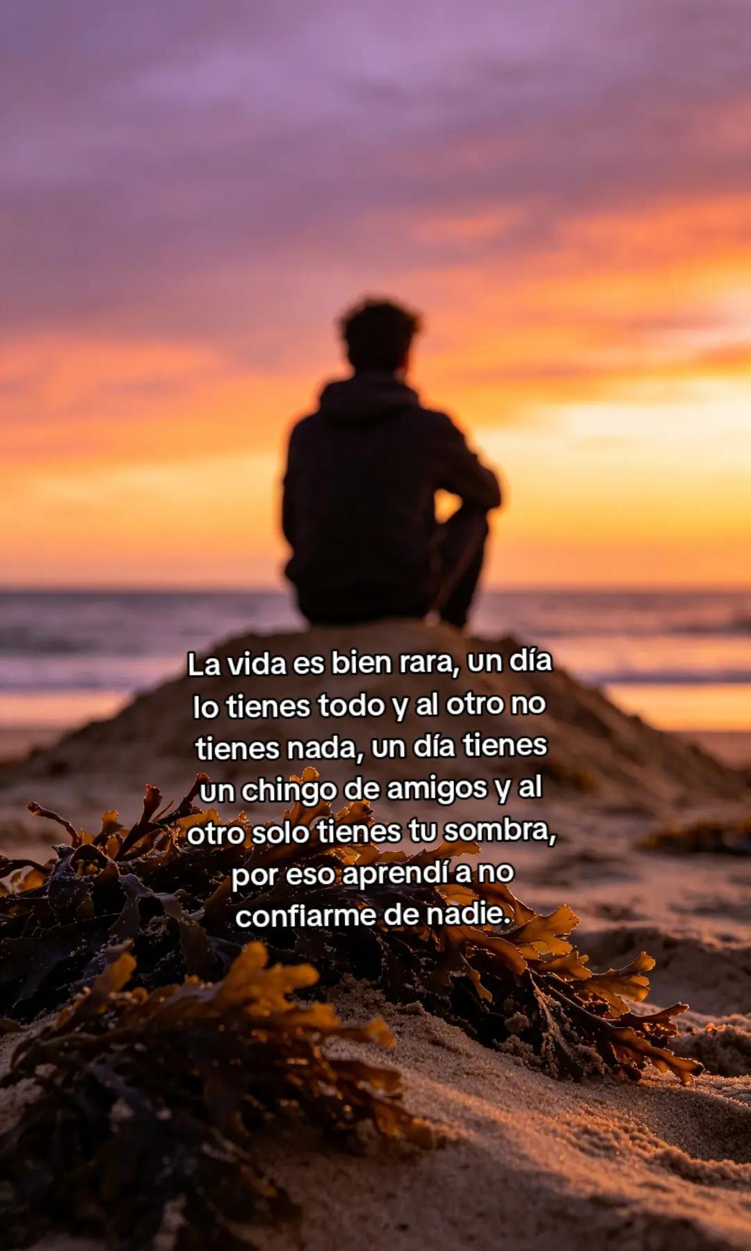 @Jose Antonio