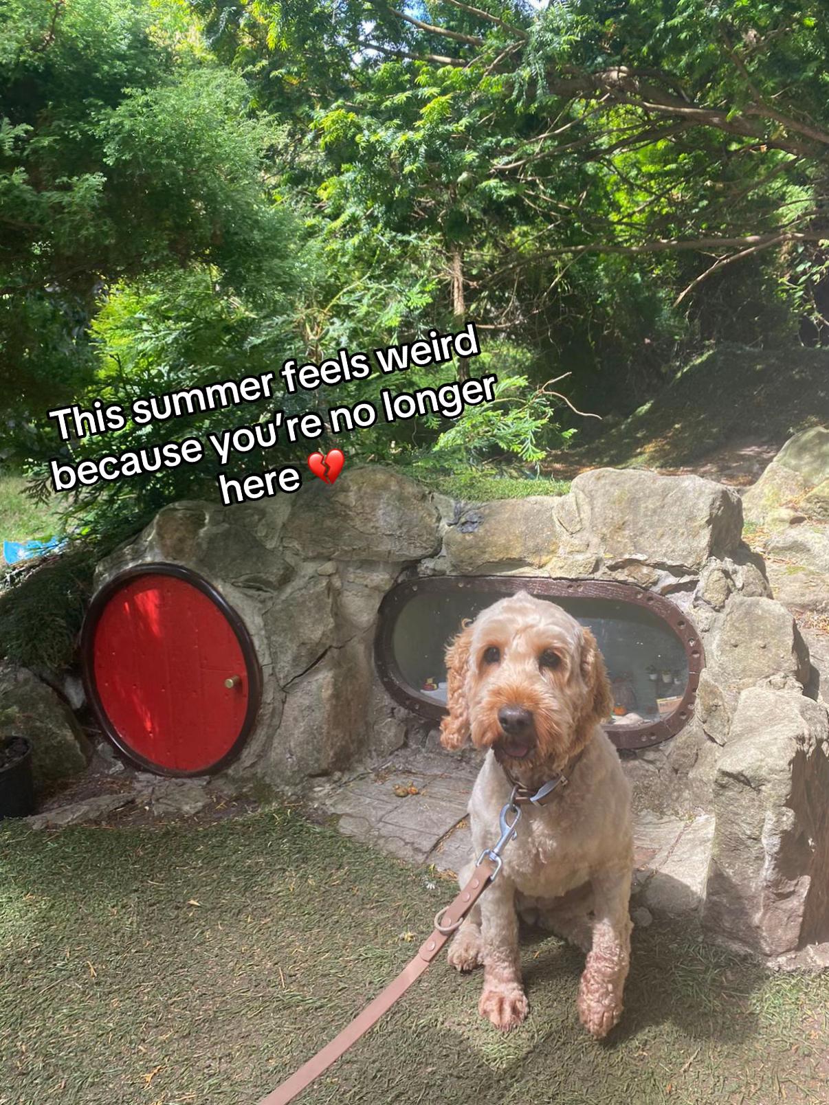 @Remembering RubyRoo 🤍🕊️