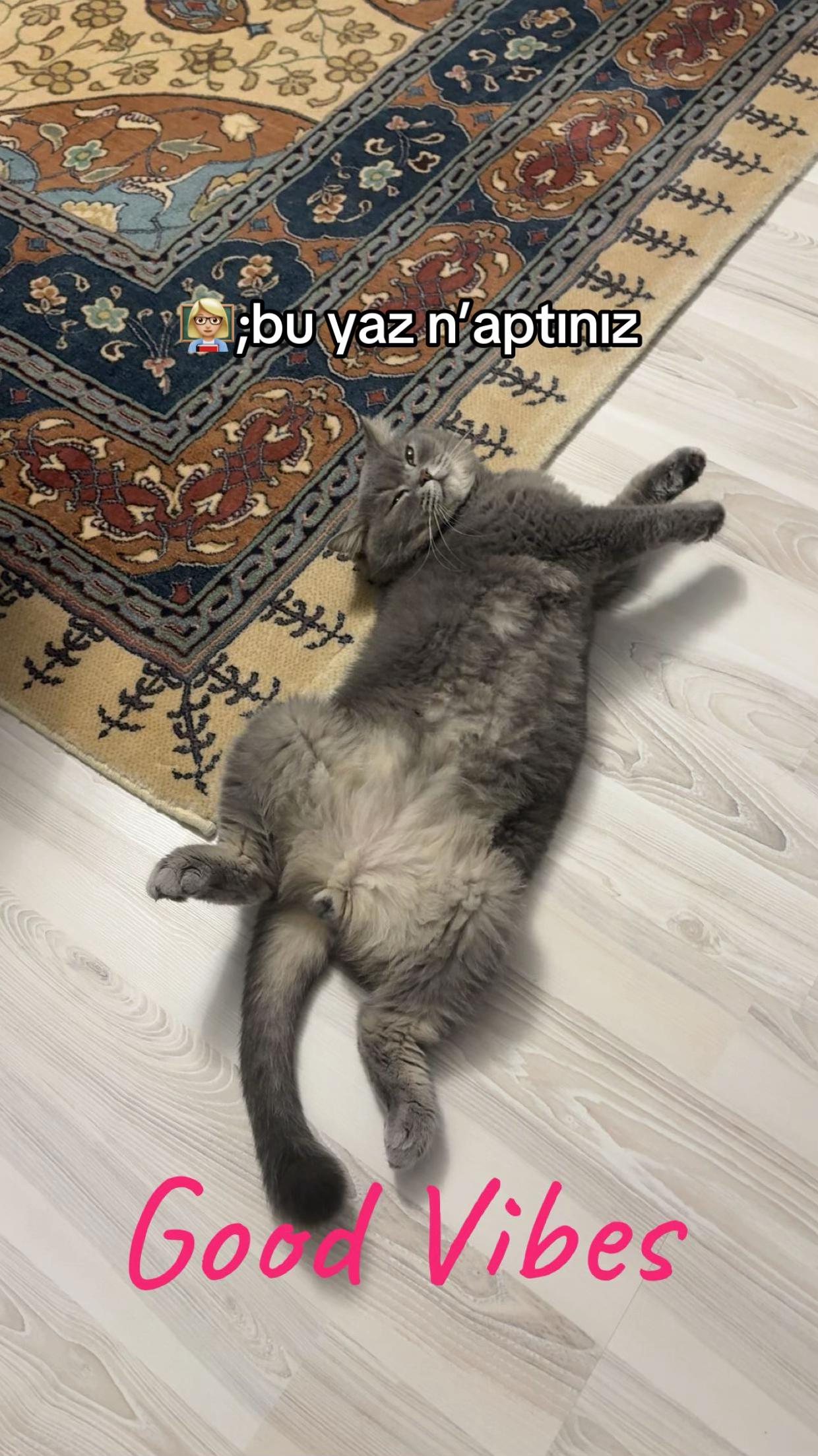 @mira🧘🏼♀️