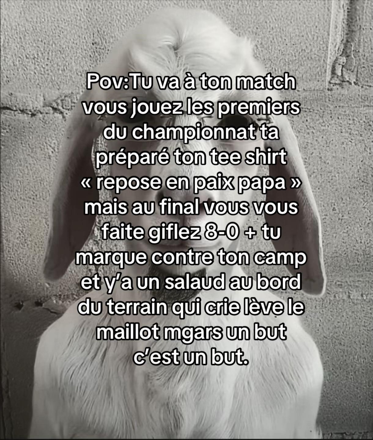 @GTx_Znox •