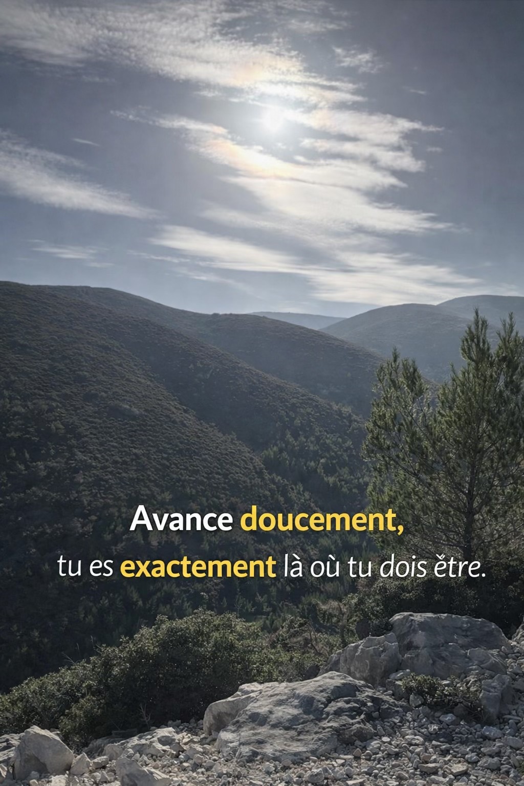 @LA V&Eacute;RIT&Eacute; 〽️