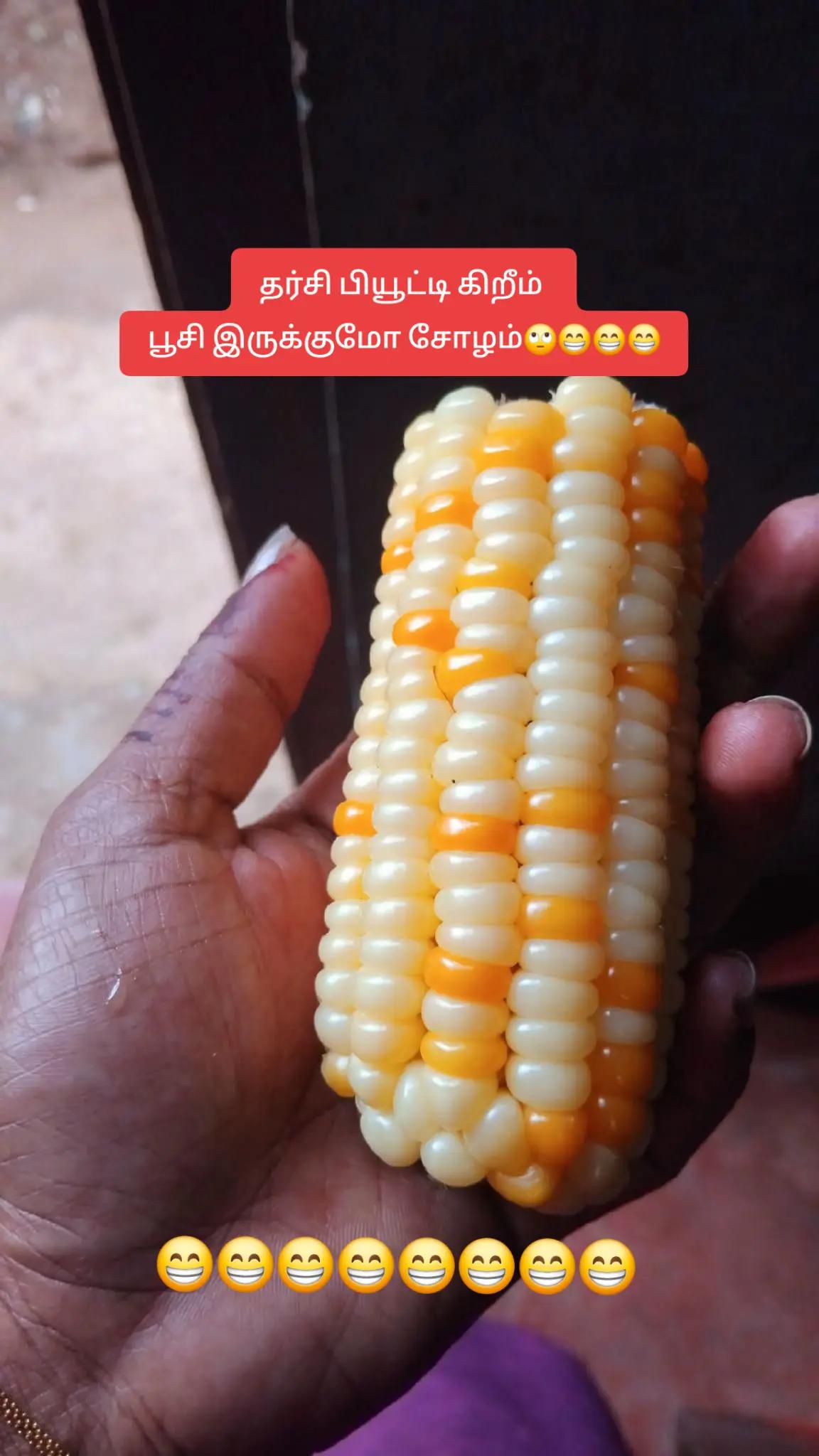 @JEY VINOTH 🖤