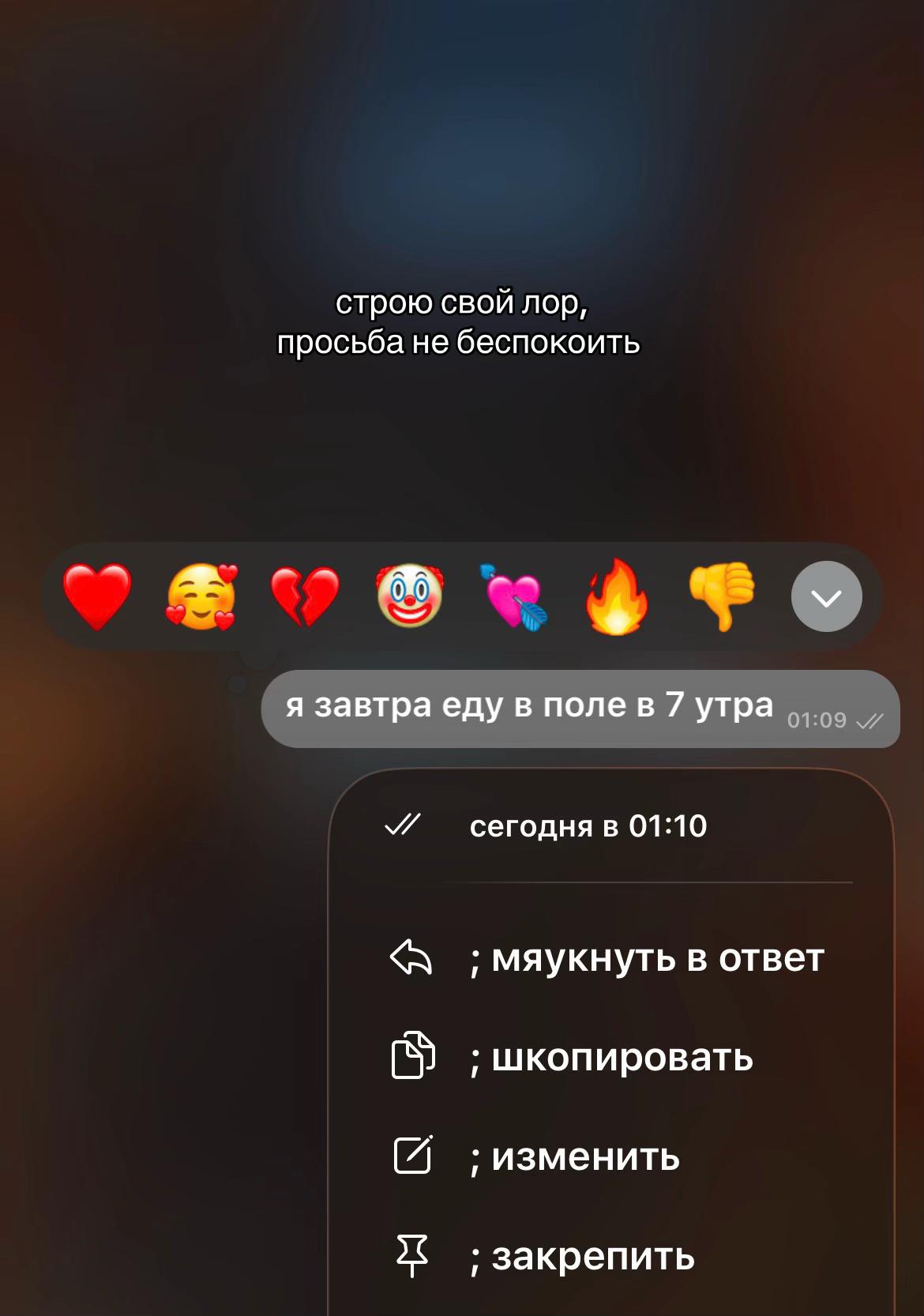 @yanikkspp