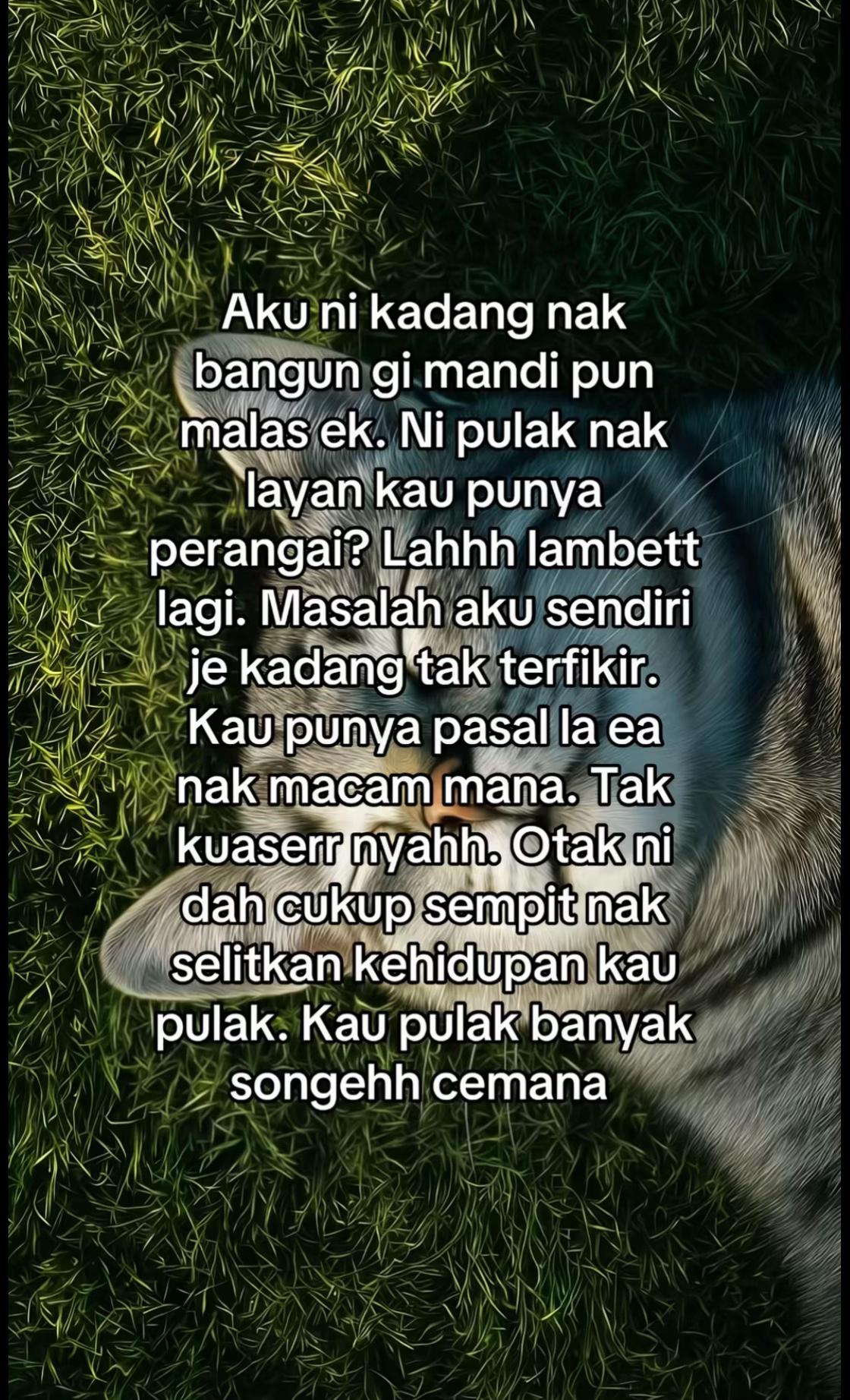 @BULAN_MOON