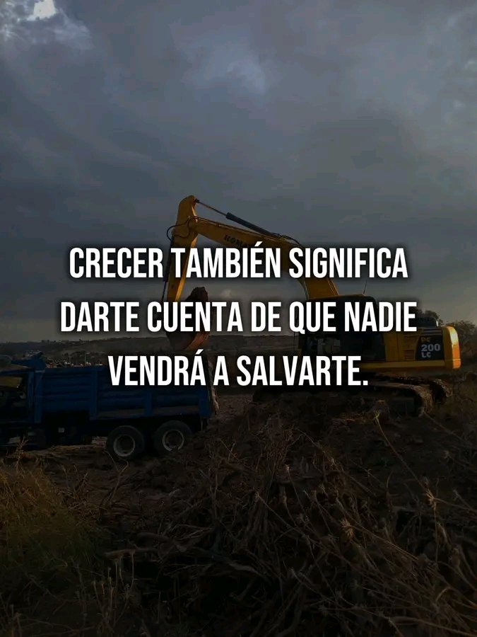 @lobo guerrero 🧑🦽🦿