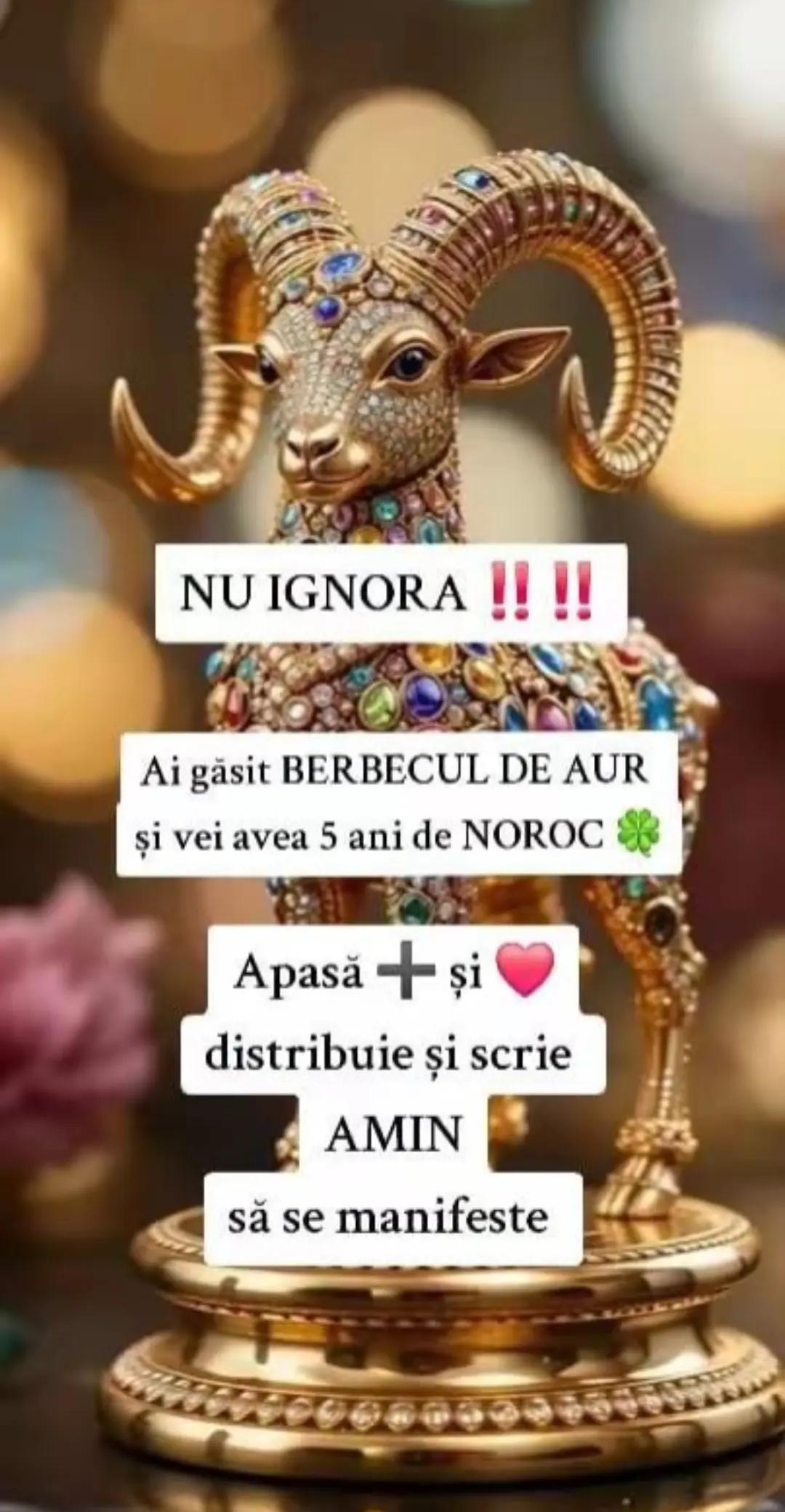 @irina chiricuta