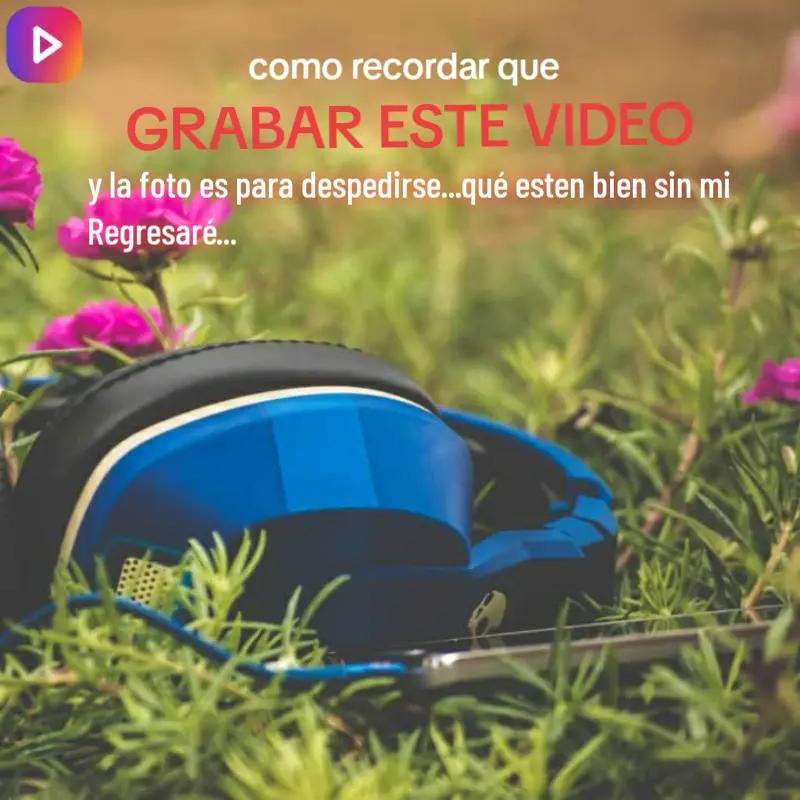 @FocaGuatonGameplaysEspa&ntilde;ol