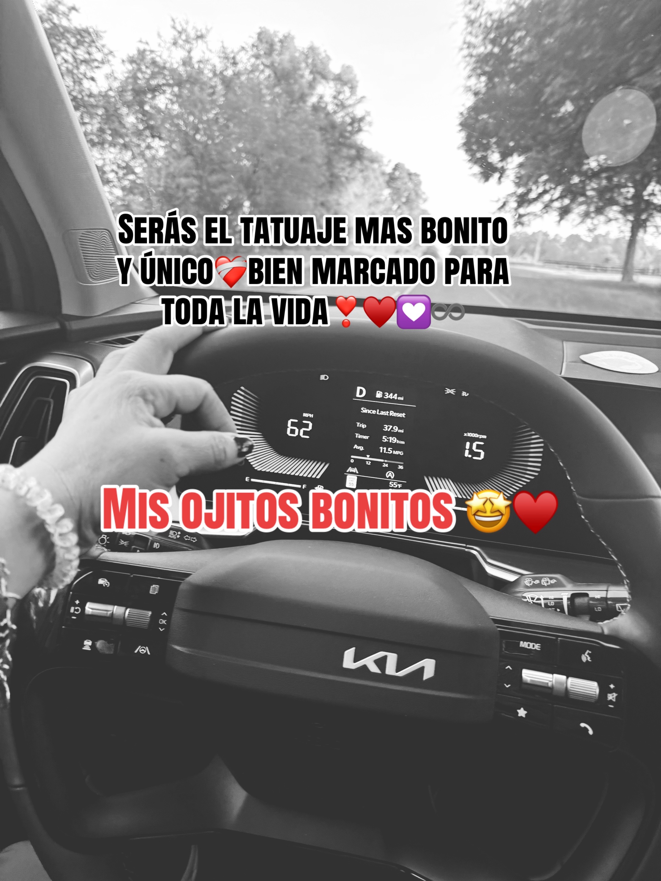 @💚🤍❤️{🌹}&yen;;