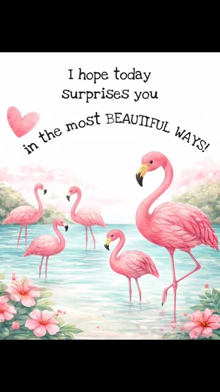 @S Taylor