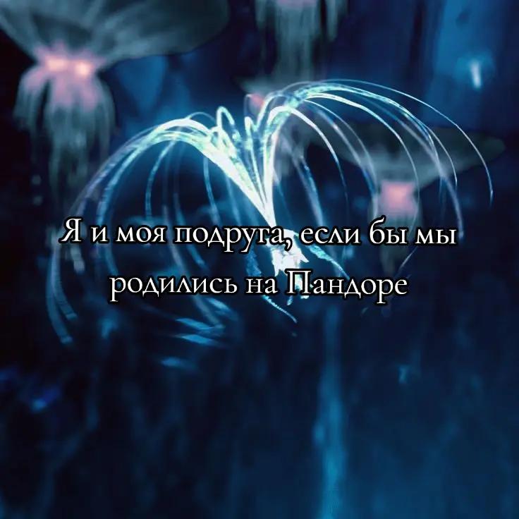 @горох