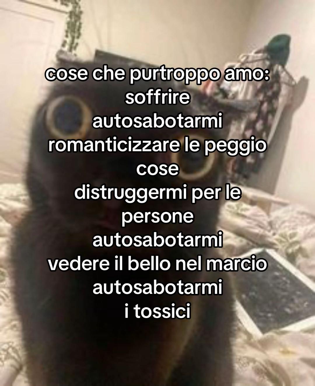 @micettadelulu