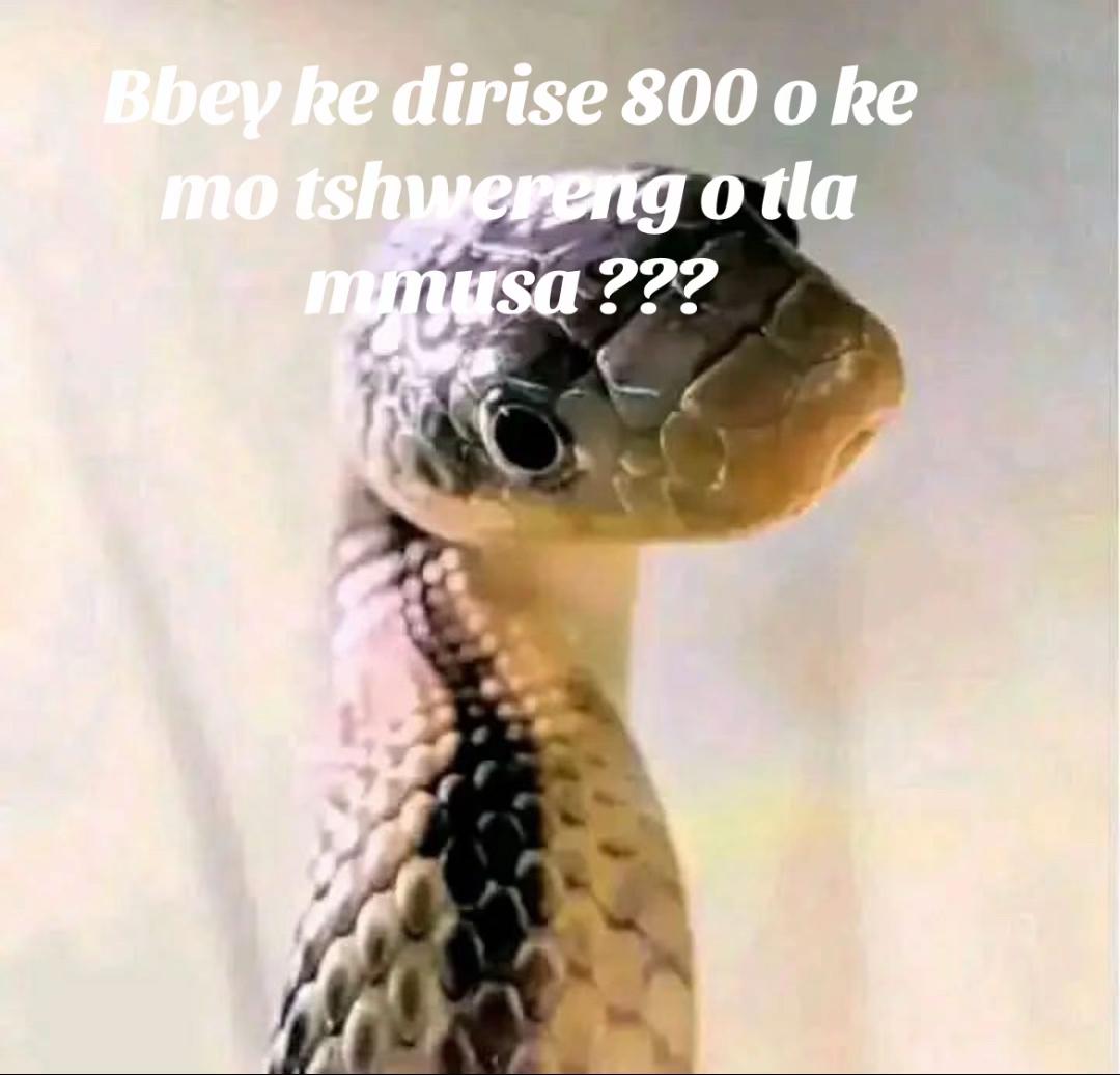 @Eric EryEl Ramarumo
