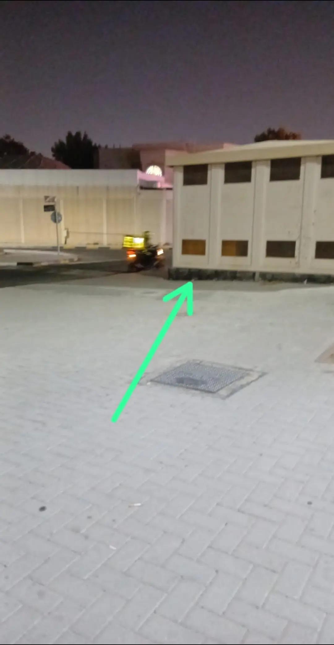 @محمد قاسم