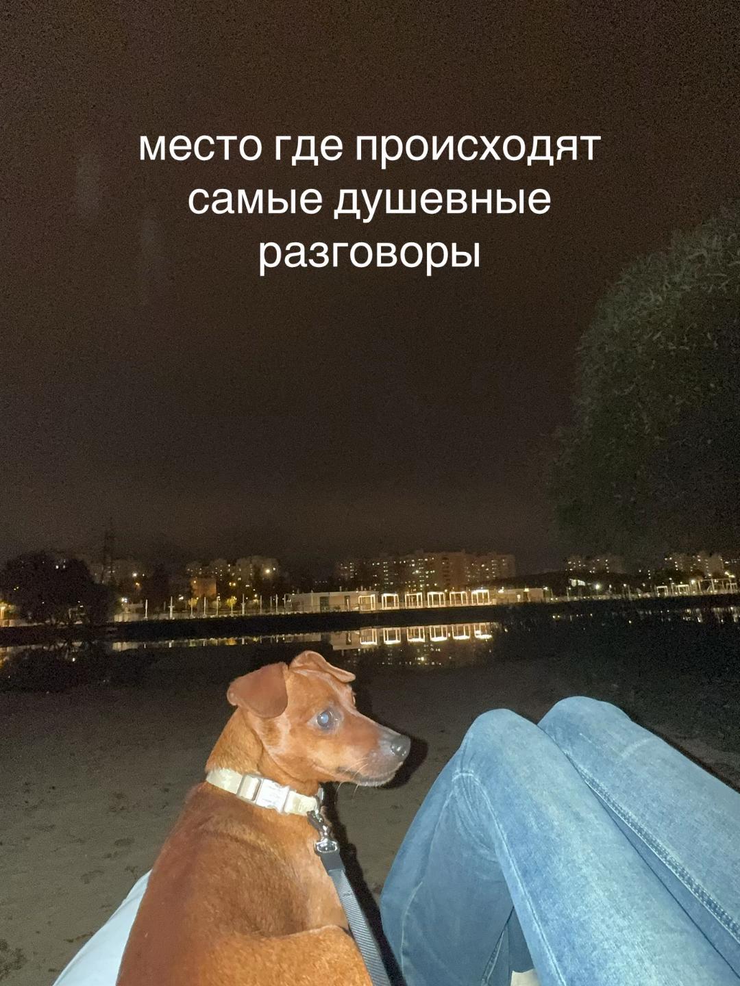 @darissshhkaaa
