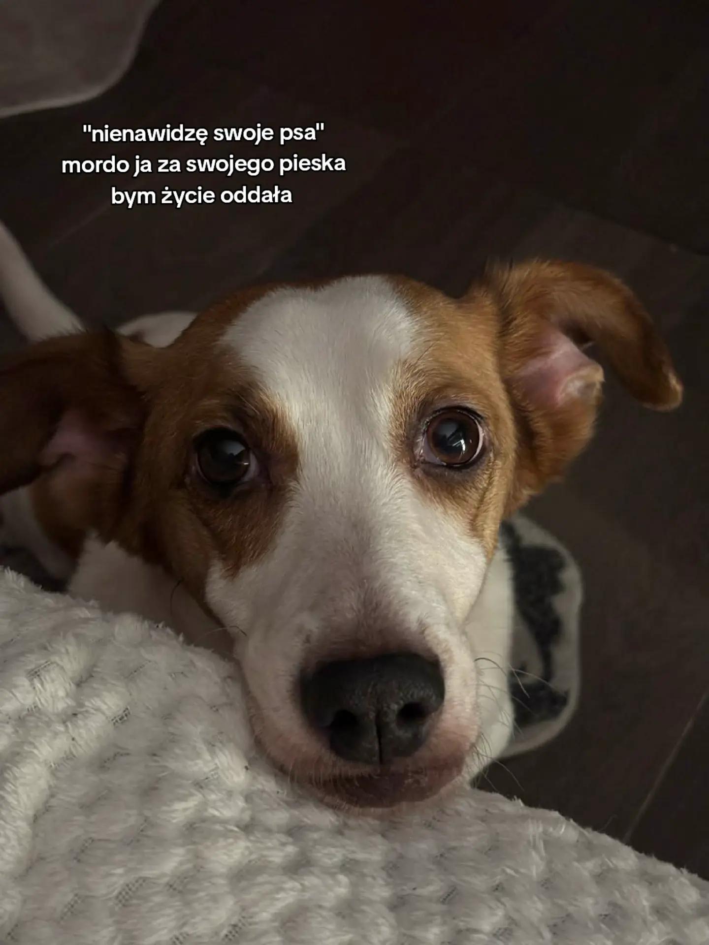 @murawskaa