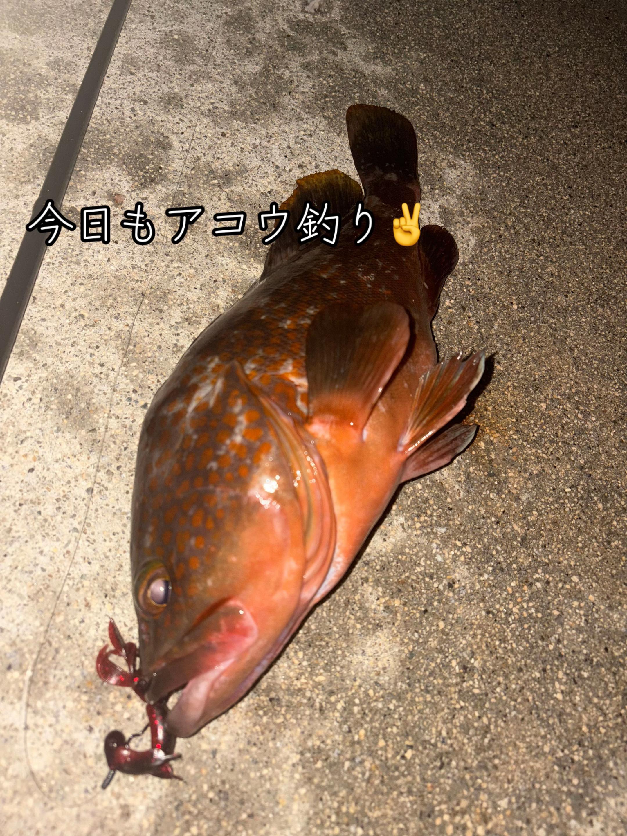 @あゆし
