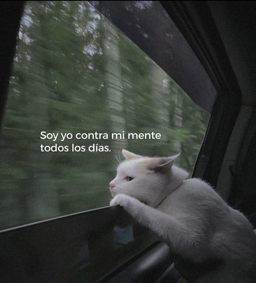 @🌠Joĥaŋa🇲🇽🕷