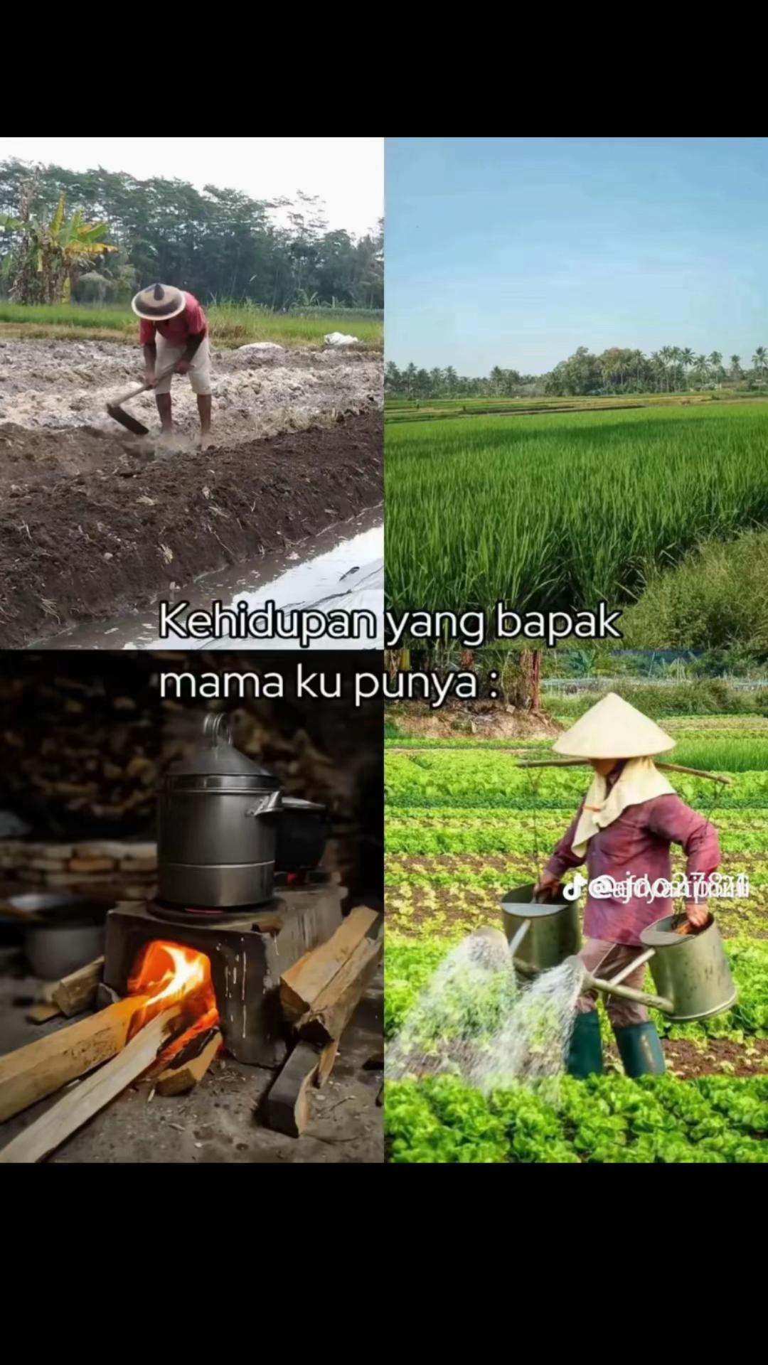 @Alvina